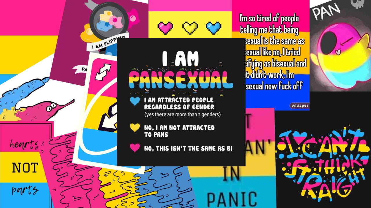 pansexual wallpapers APK for Android Download