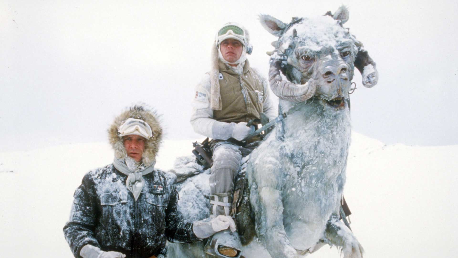 Save a Tauntaun, wear Columbia's new line of 'Star Wars' winter jackets instead. This is the Loop