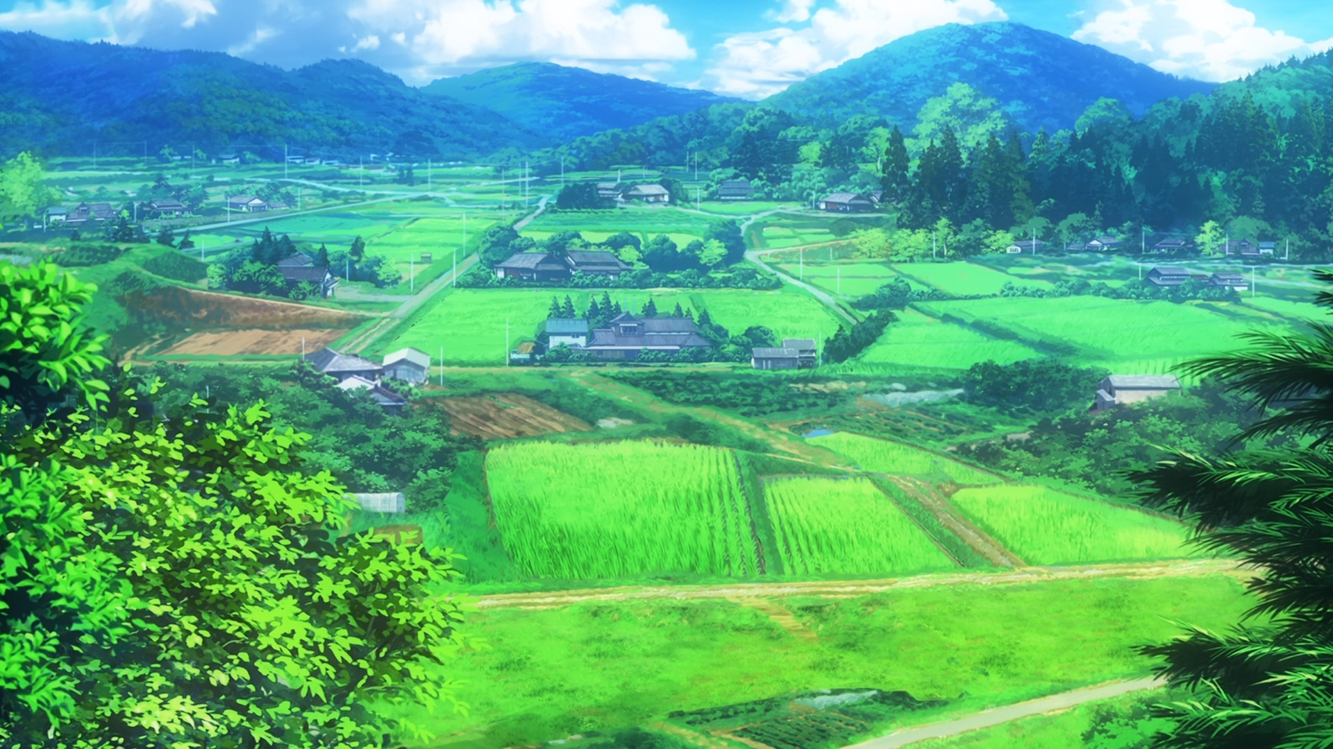 Wallpaper, Non Non Biyori, nature, field 1920x1080