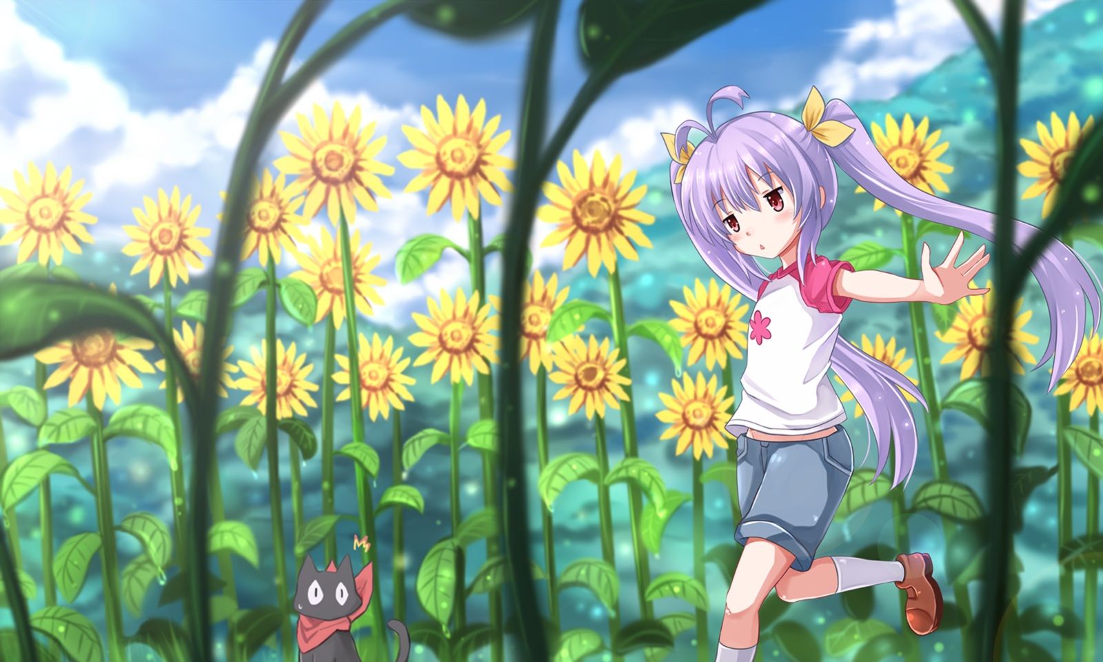 non, Non, Biyori, Animal, Cat, Crossover, Flowers, Kazenokaze, Miyauchi, Renge, Non, Non, Biyori, Purple, Hair, Red, Eyes, Ribbons, Sakamoto, nichijou, Socks, Sunflower, Twintails Wallpaper HD / Desktop and Mobile Background