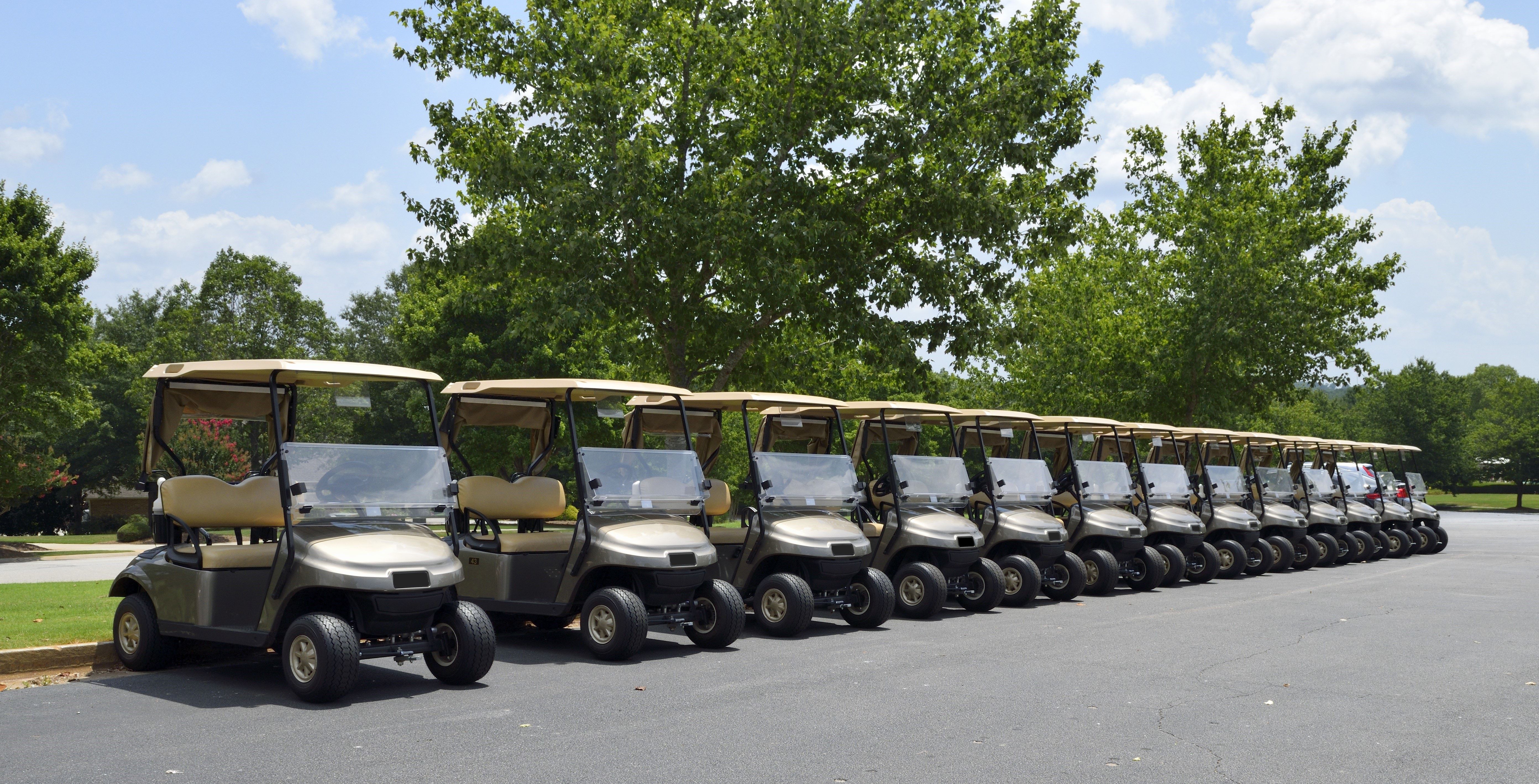 beige and silver golf cart fleet free image