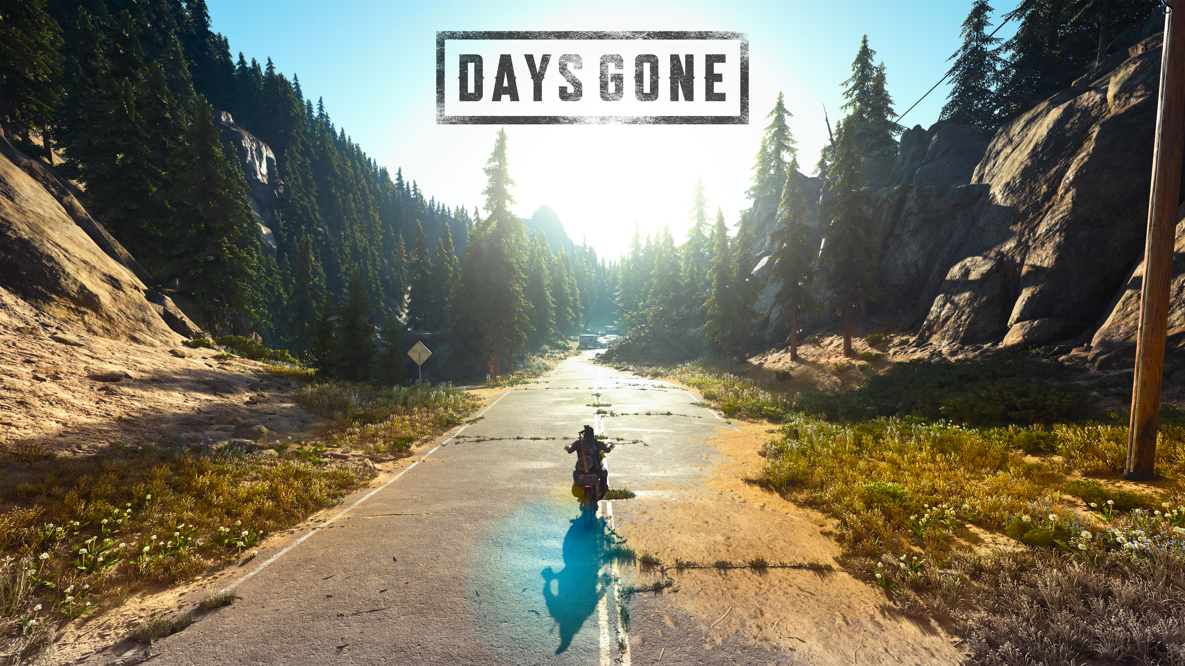 I Made A 4k Wallpaper Of Days Gone Using The In Game Photo Mode :) Link For Full Size In Comments