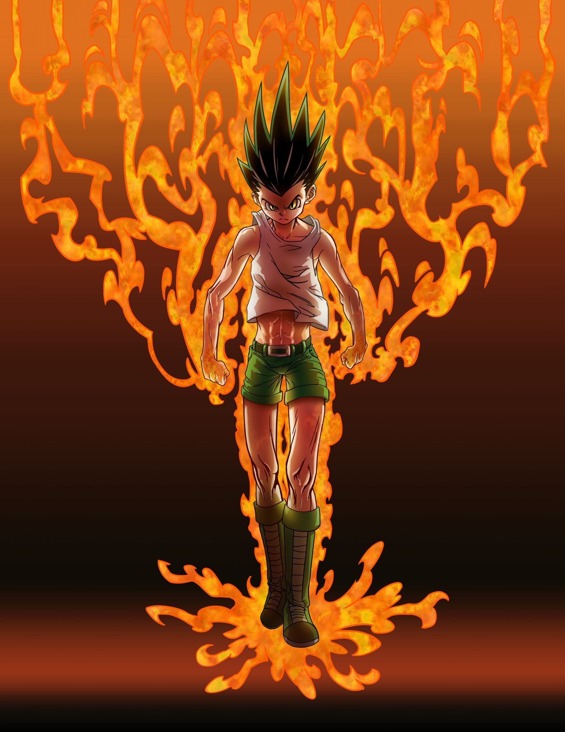 Hunter X Hunter Gon Transformation Wallpaper Infoupdate