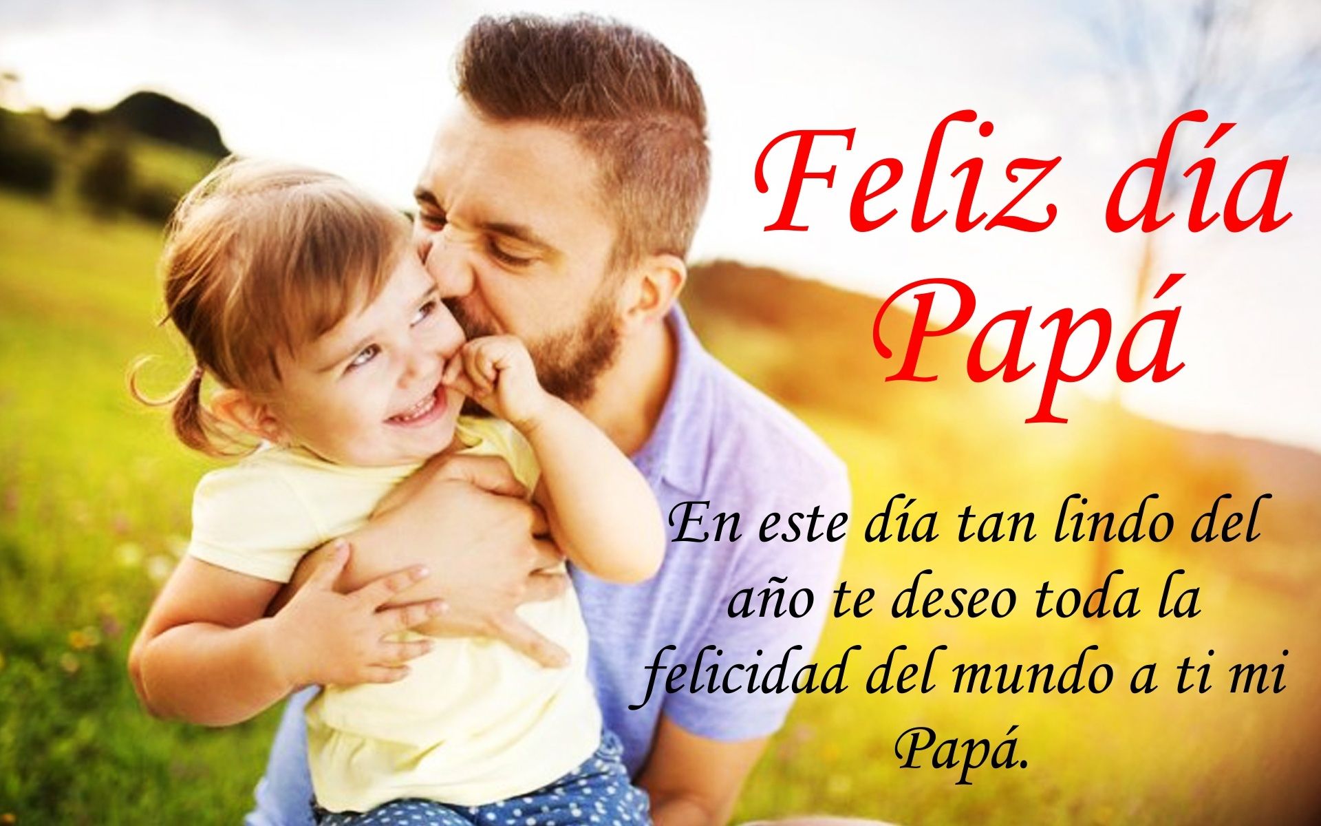 Feliz dia papa querido, Fechas importantes