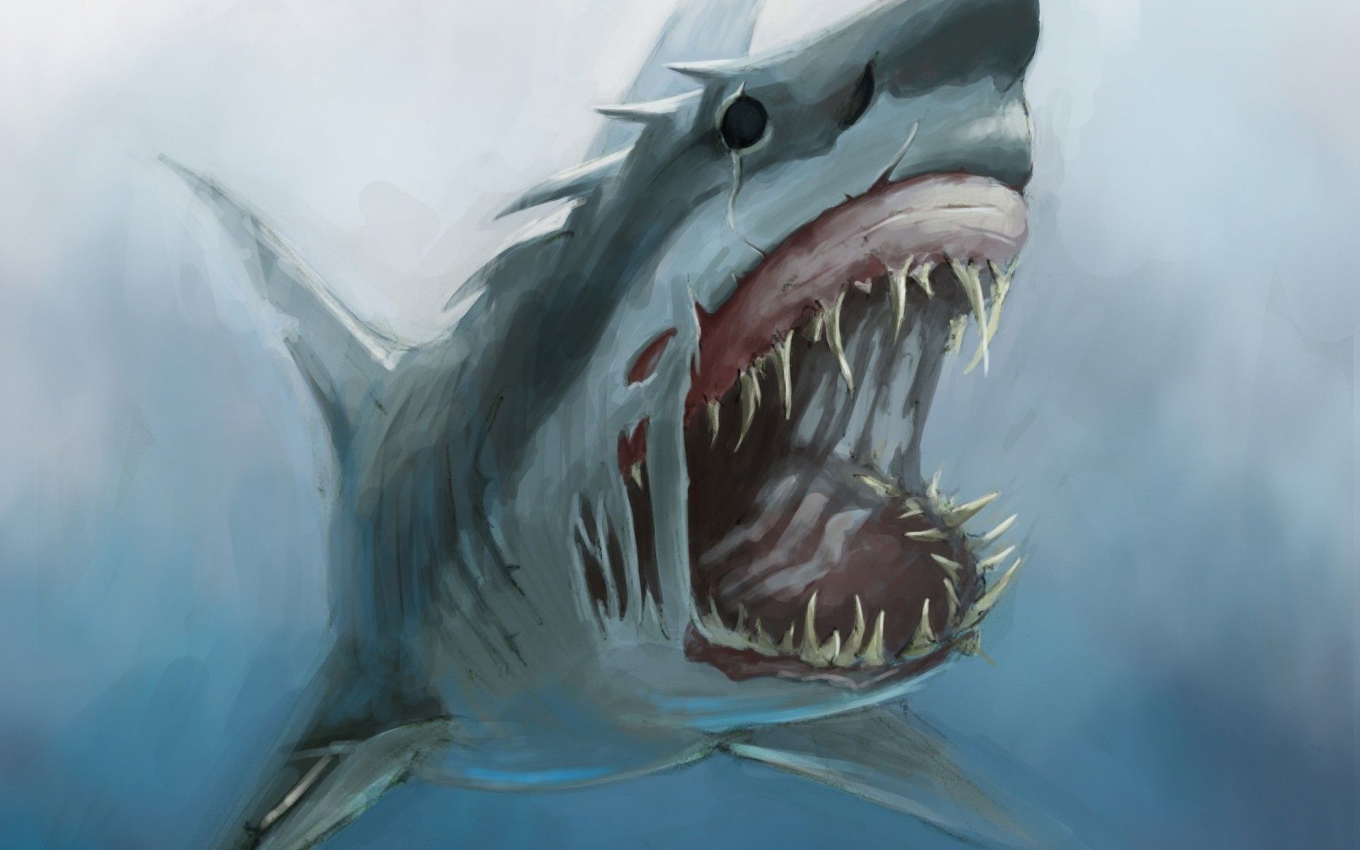 Megalodon Wallpaper background picture