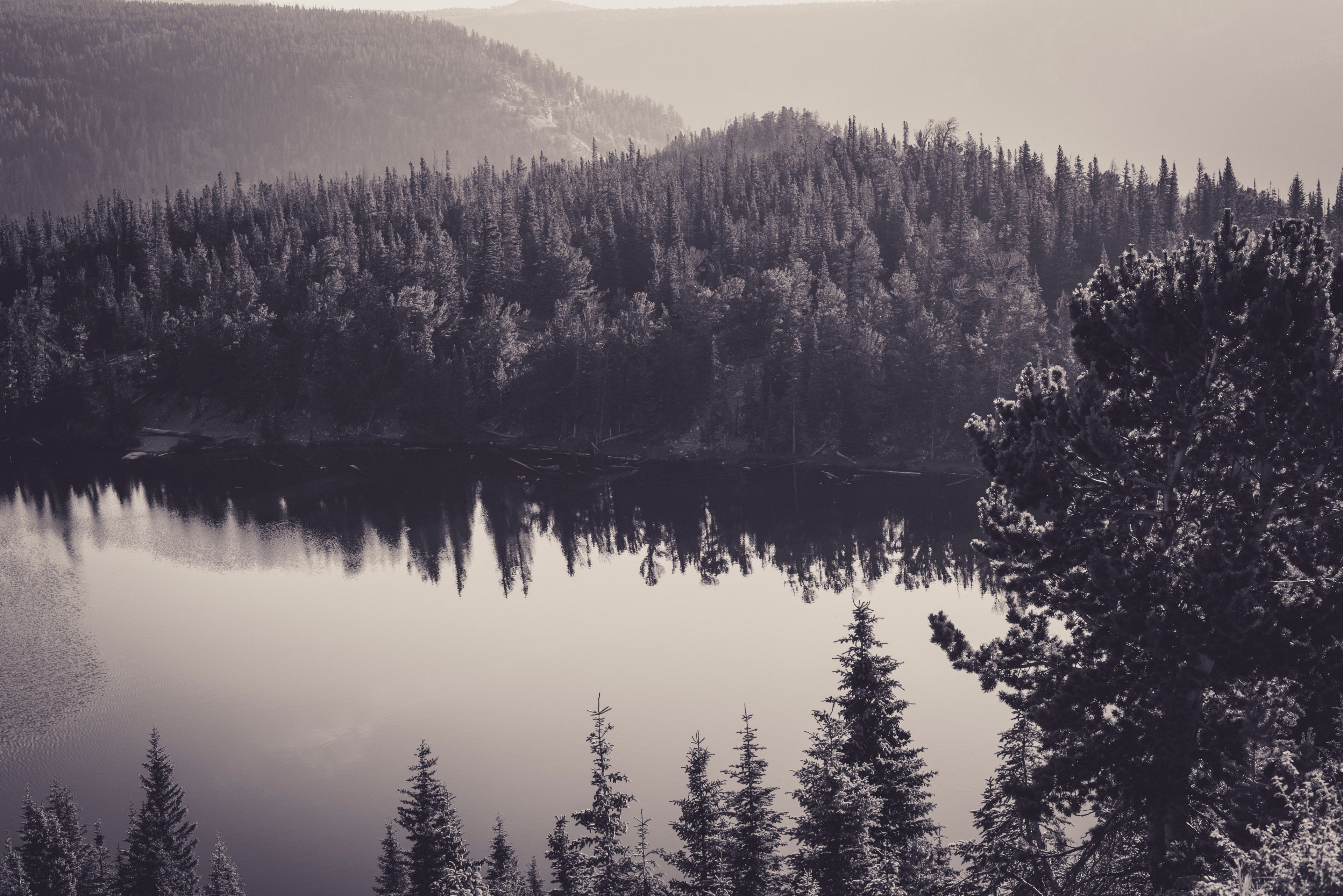 Wallpaper / a black and white picture of woody hills by a lake, black and white forest lake 4k wallpaper