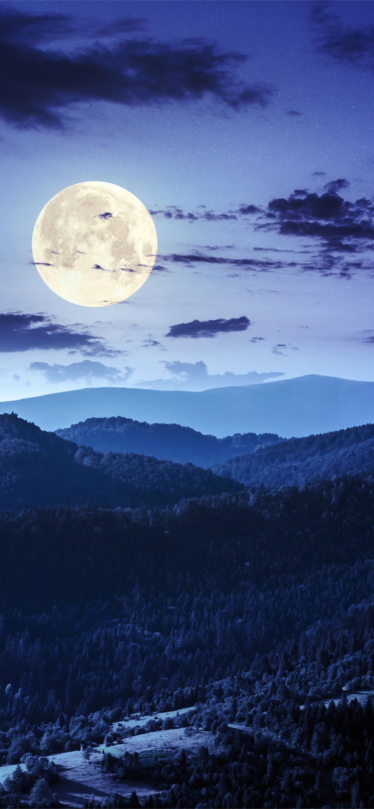forest night moon clouds 4k iPhone X Wallpaper Free Download