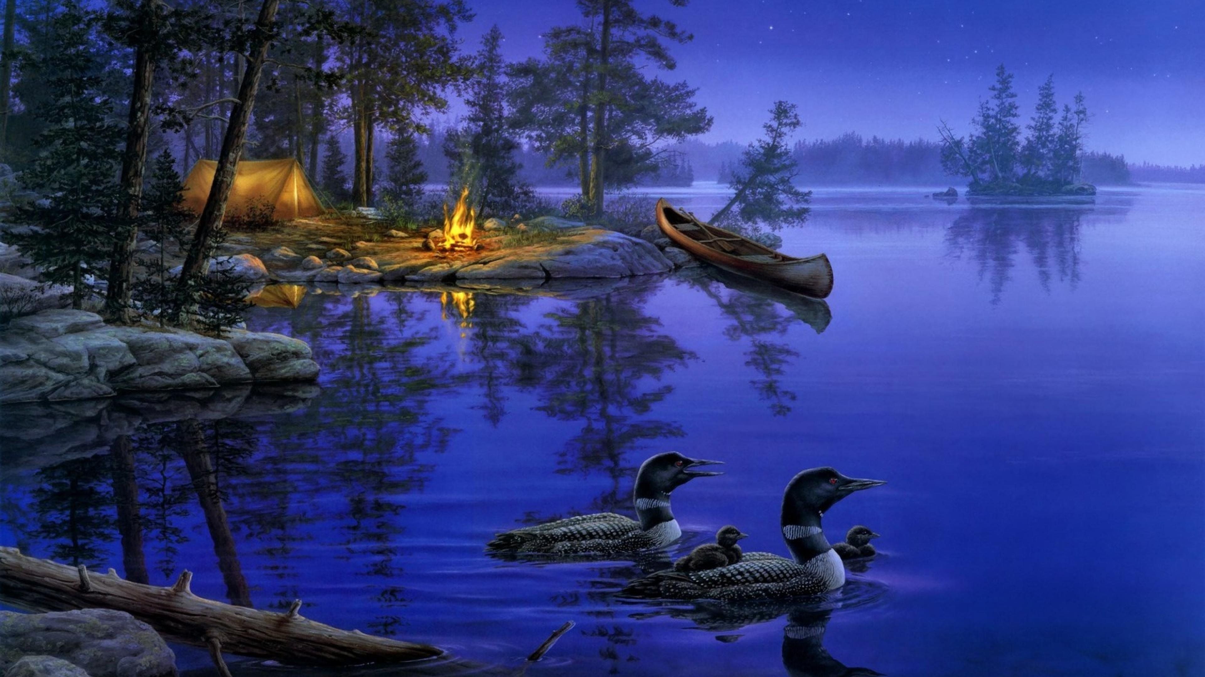 Night Star Forest Lake Ducks Boat Bonfire 4K wallpaper