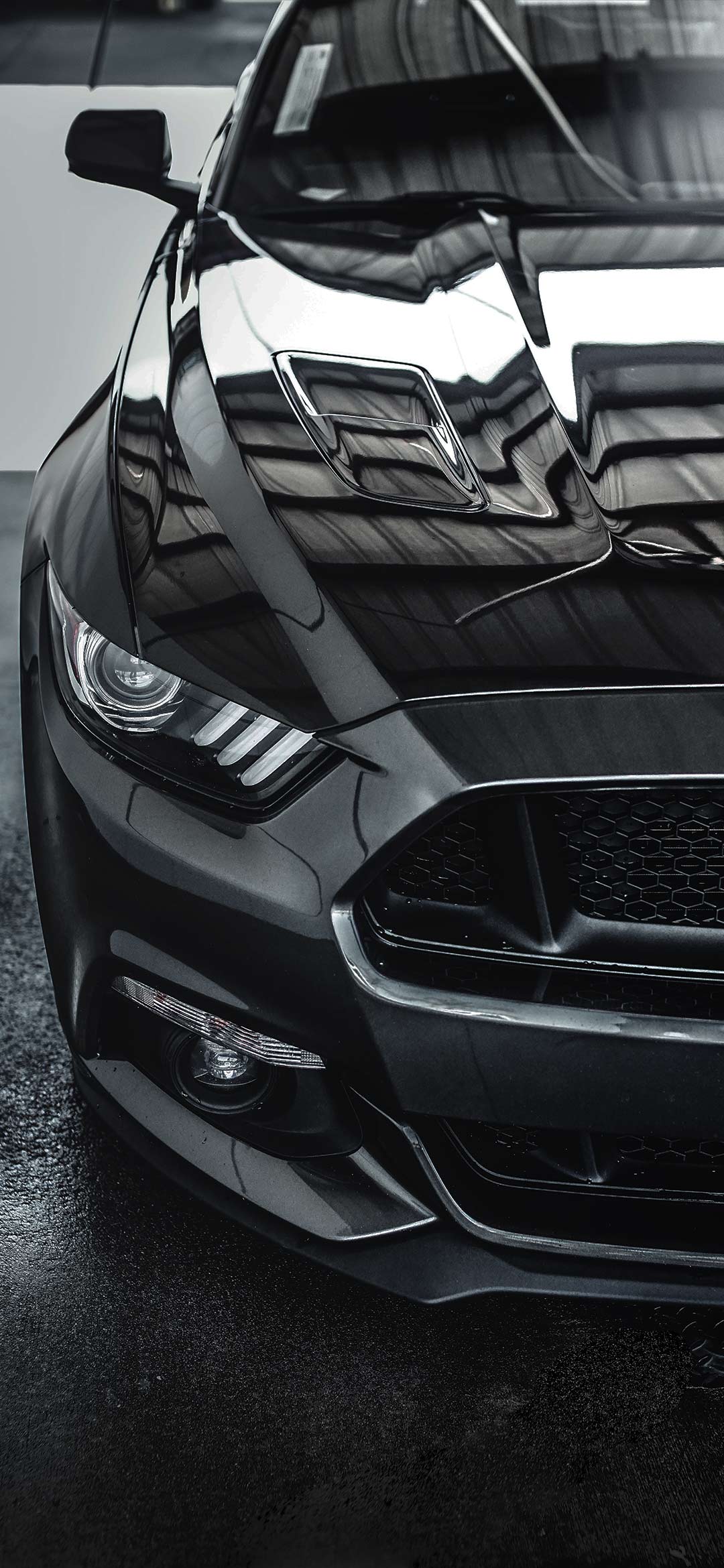 Black Mustang car front wallpaper