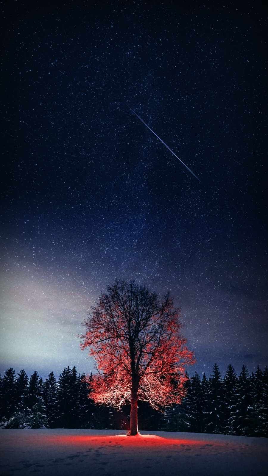 Night Tree Starry Sky Wallpaper 4K of Wallpaper for Andriod