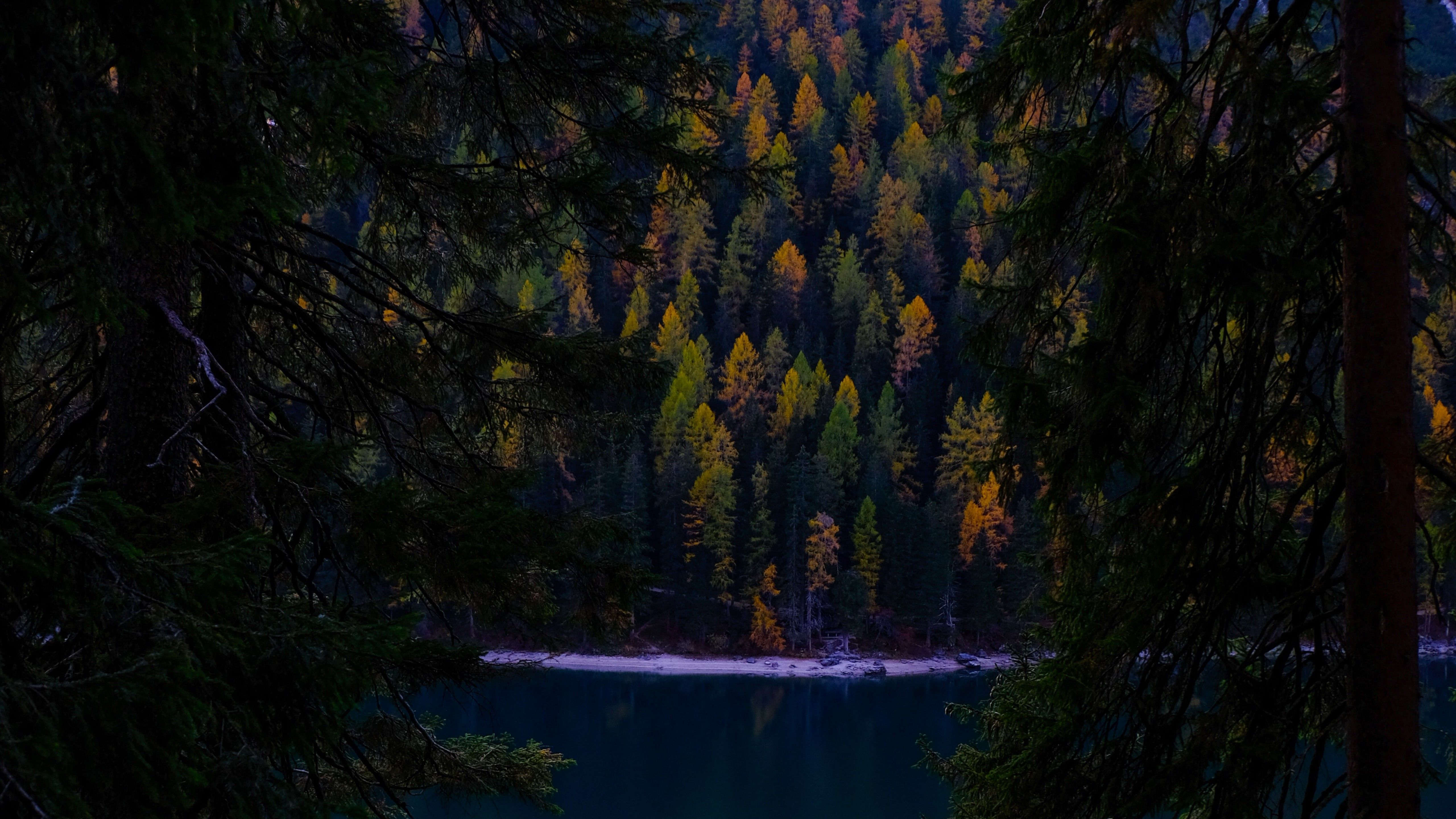 Lake 4K Wallpaper, Forest, Wilderness, Pine trees, Cold, Evening, Nature