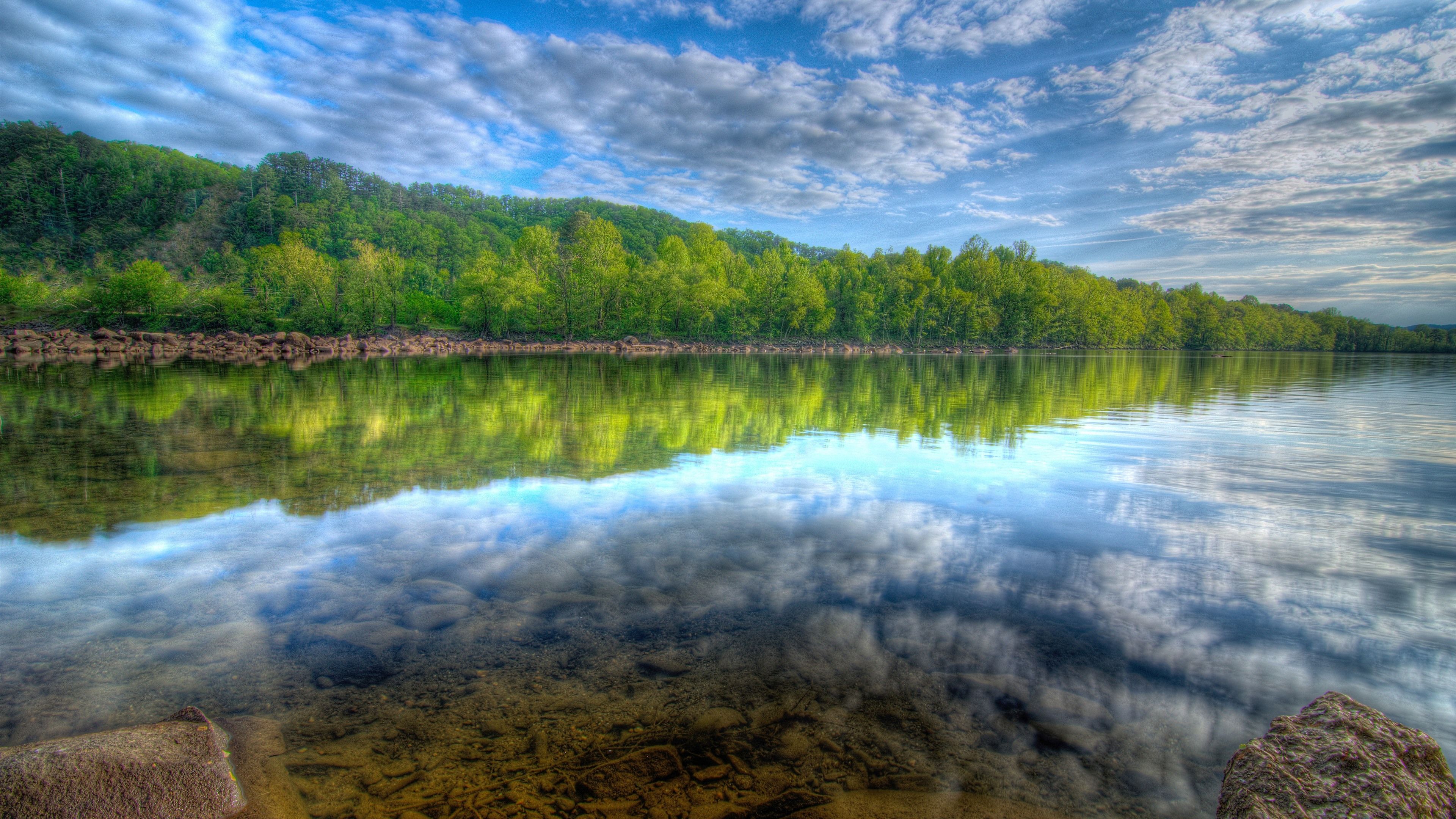 Wallpaper Many trees, forest, lake, water reflection, sky, white clouds 3840x2160 UHD 4K Picture, Image
