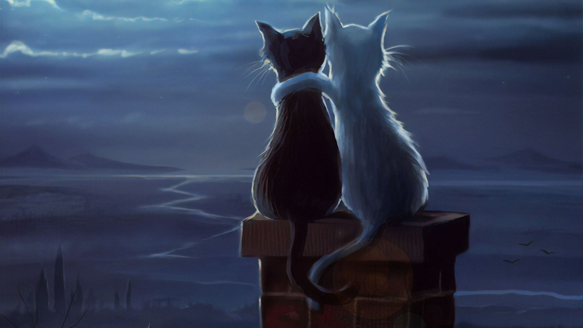 Two Cats On A Roof, HD Artist, 4k Wallpaper, Image, Background, Photo and Picture