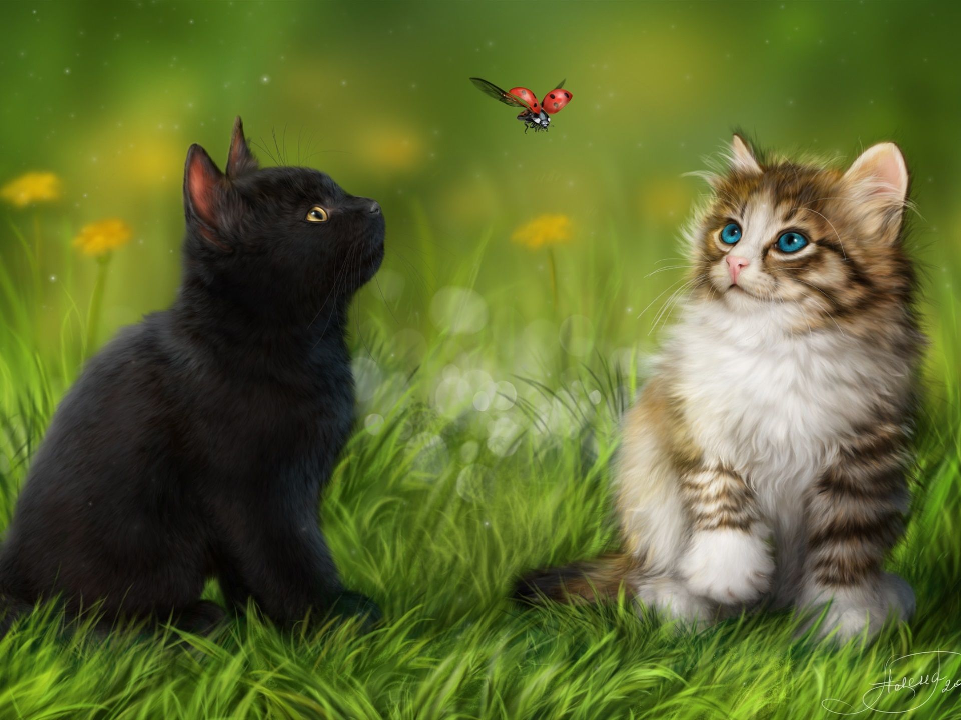 Wallpaper Two cats in the grass look at ladybug flight 1920x1440 HD Picture, Image