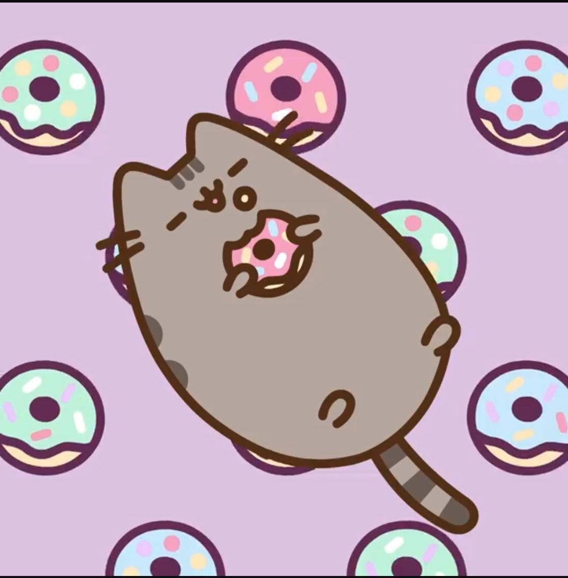 pusheen eating