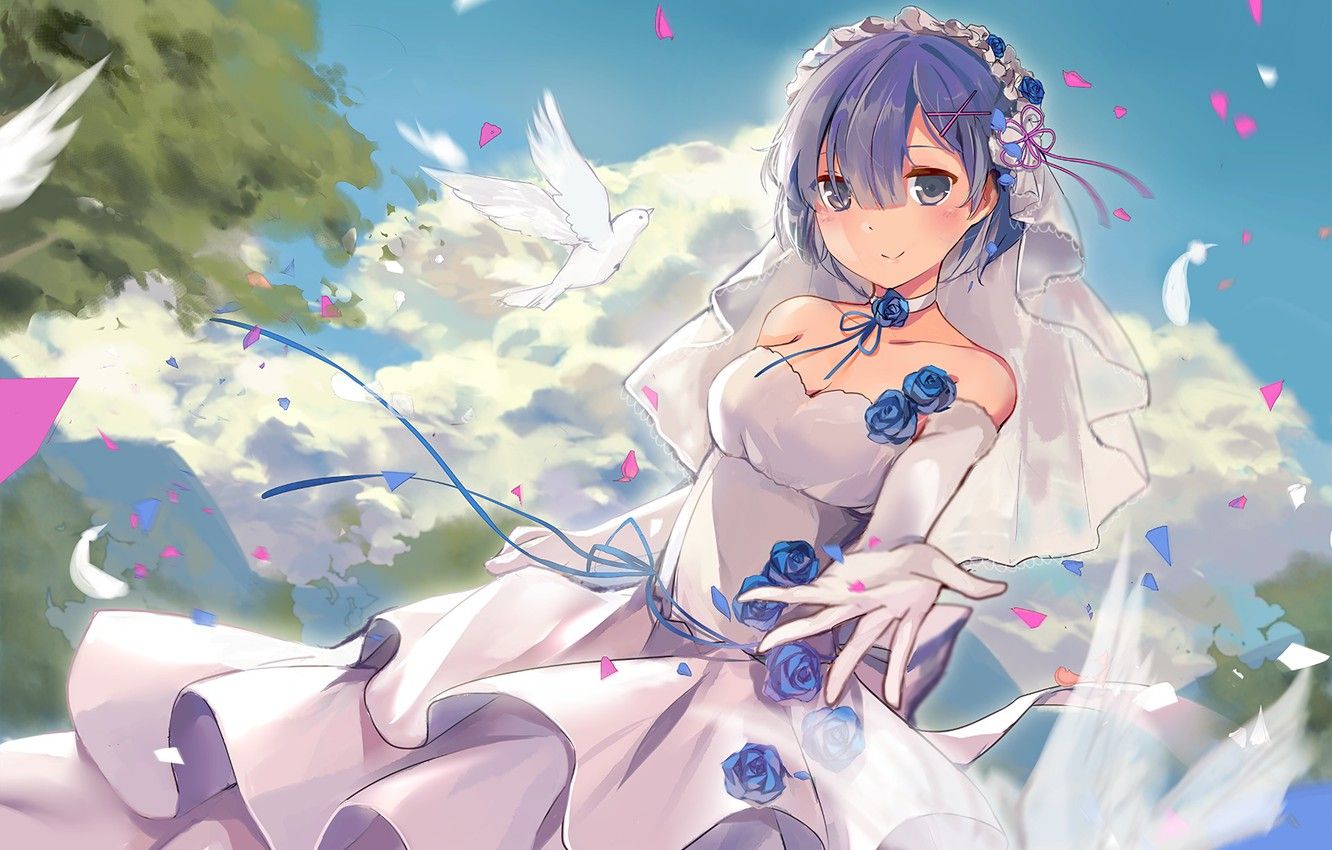 Wallpaper pigeons, veil, anime, art, wedding dress, Rem, Re: Zero kara hajime chip isek or Seikatsu image for desktop, section прочее