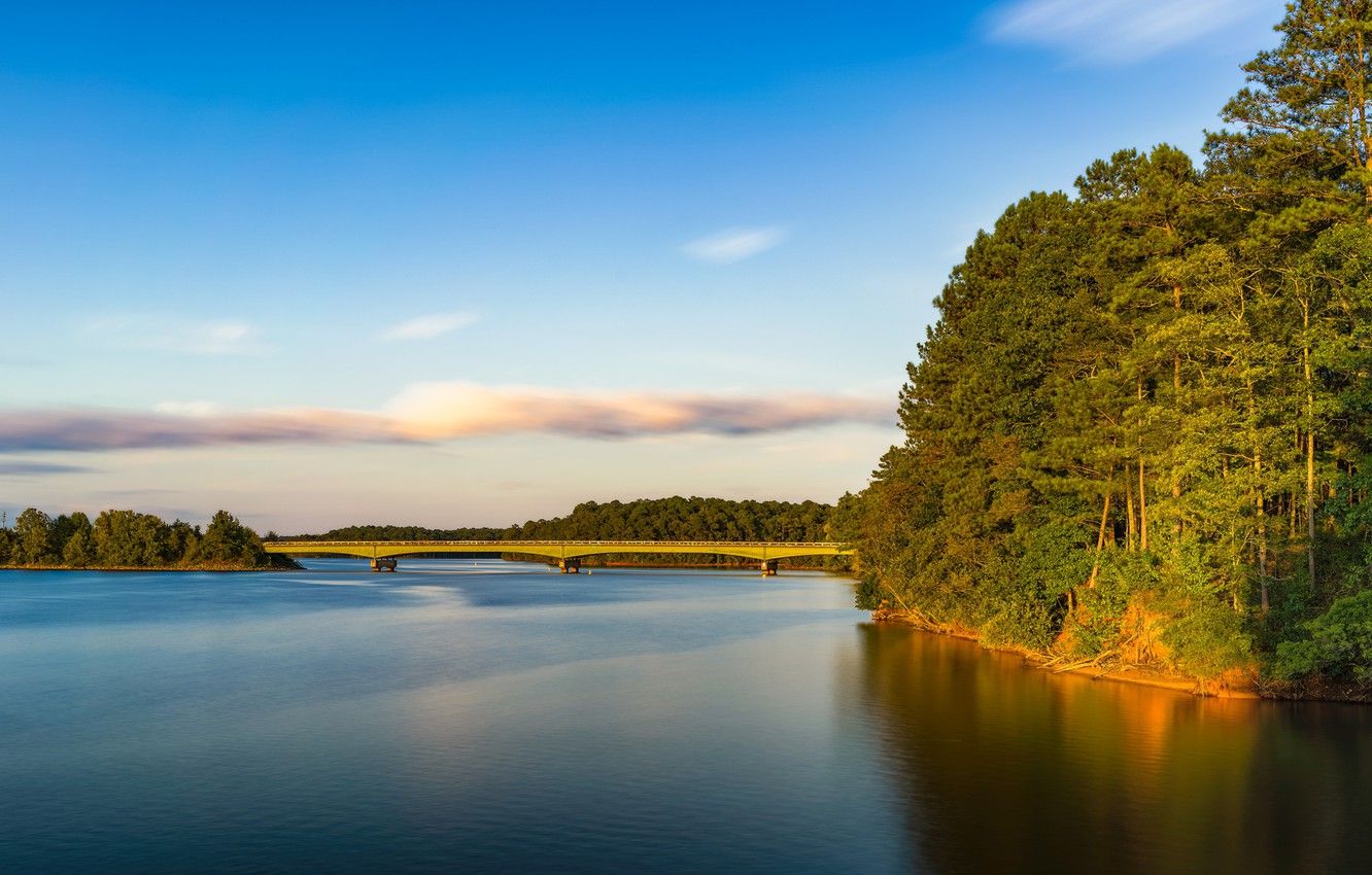 Wallpaper forest, bridge, lake, Georgia, GA, West Point Lake, Mooty Bridge image for desktop, section пейзажи