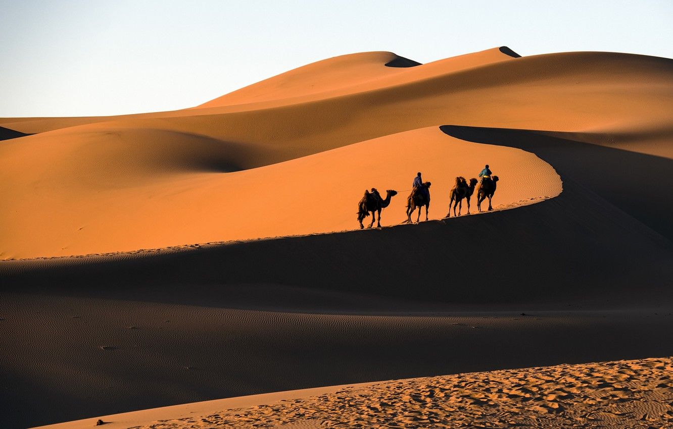 Wallpaper desert, Mongolia, Gobi, Gobi image for desktop, section пейзажи