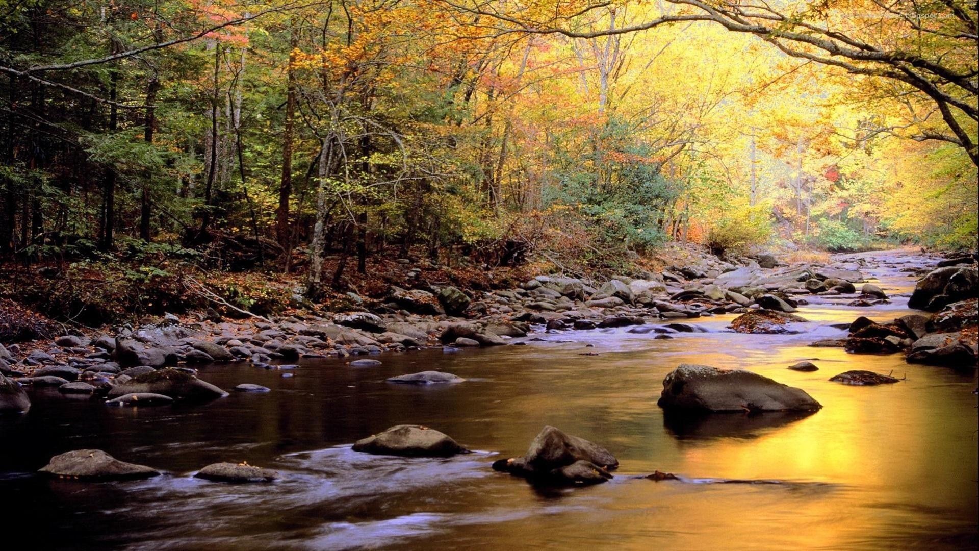 Ultra HD River Wallpaper