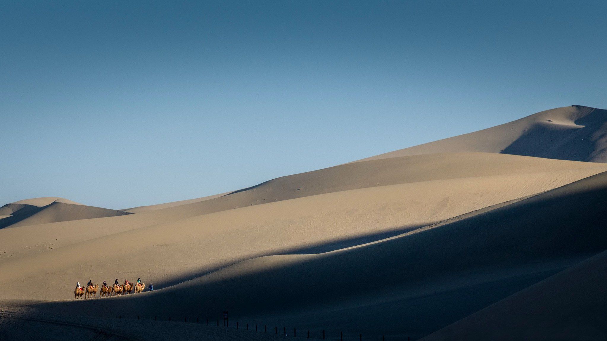 Camel Caravan Desert Gobi Desert Wallpaper:2047x1152