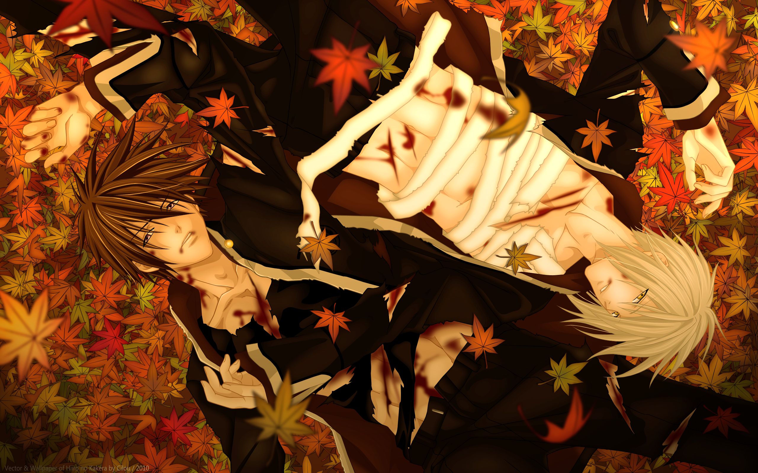 Hiiro no Kakera Wallpaper: Drain