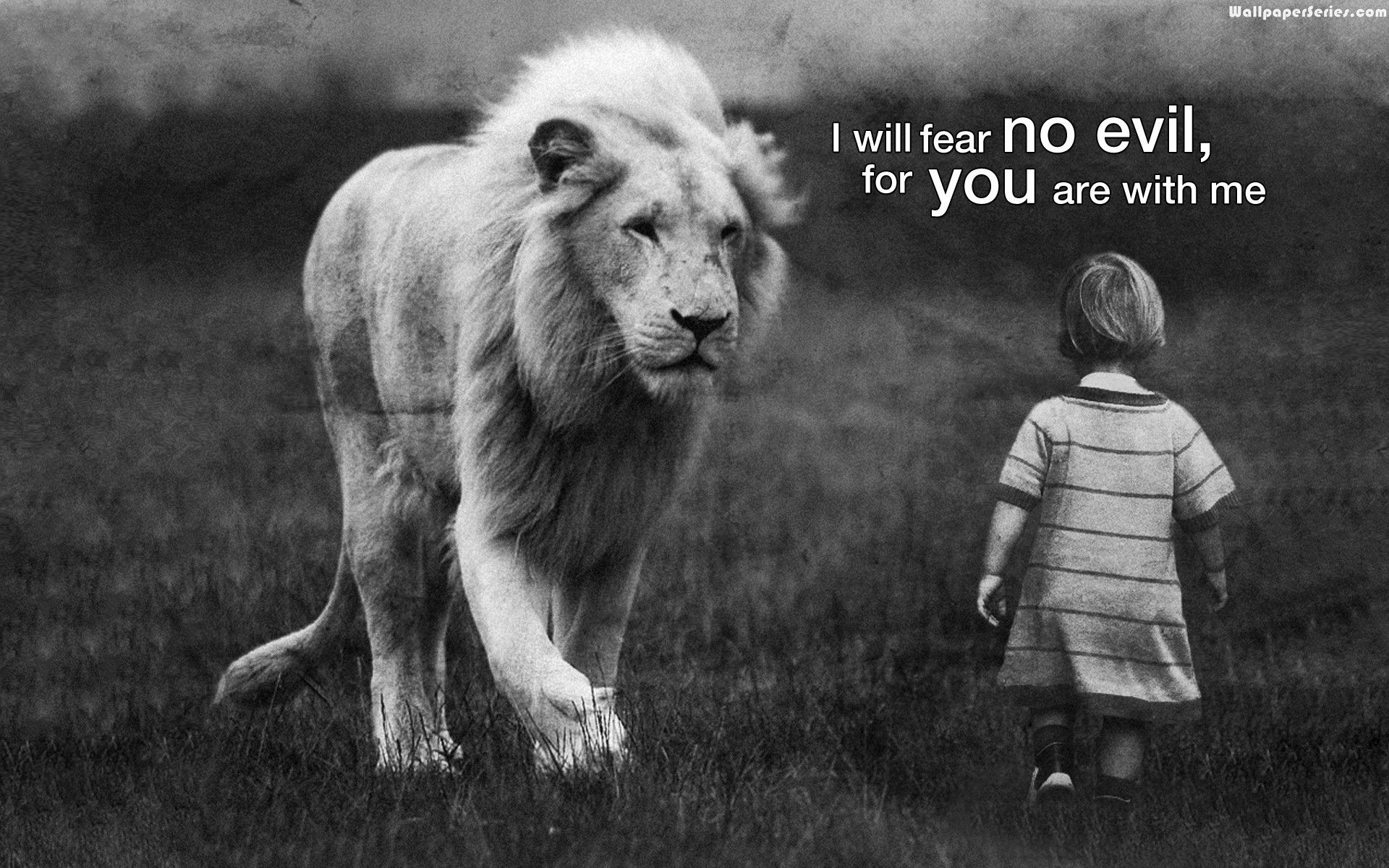 Lion Wallpaper HD With Quotes