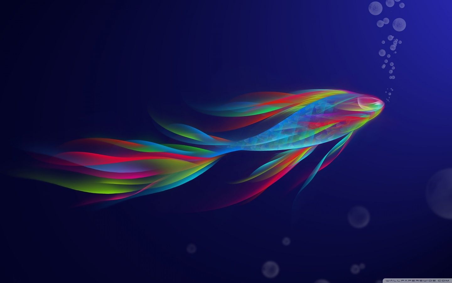 Colorful Betta Fish HD desktop wallpaper, High Definition. Seni, Desain, Desain logo