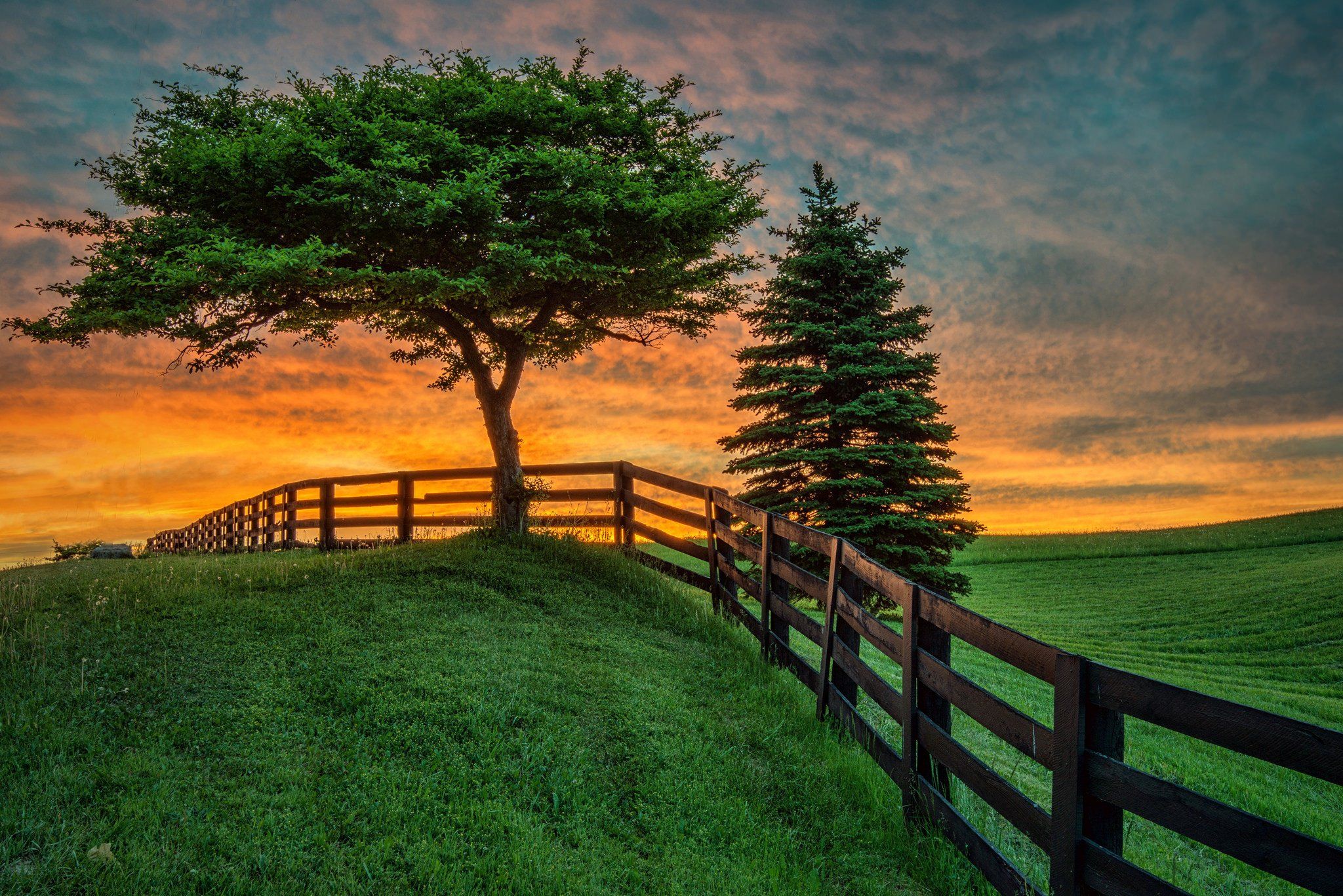 summer, Fence, Tree, Sunset, Field, Landscape Wallpaper HD / Desktop and Mobile Background