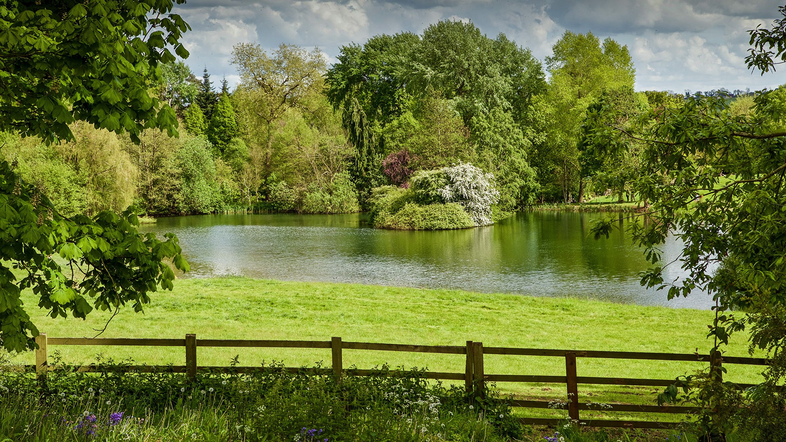 Desktop Wallpaper England Thenford Summer Nature Lake 2560x1440