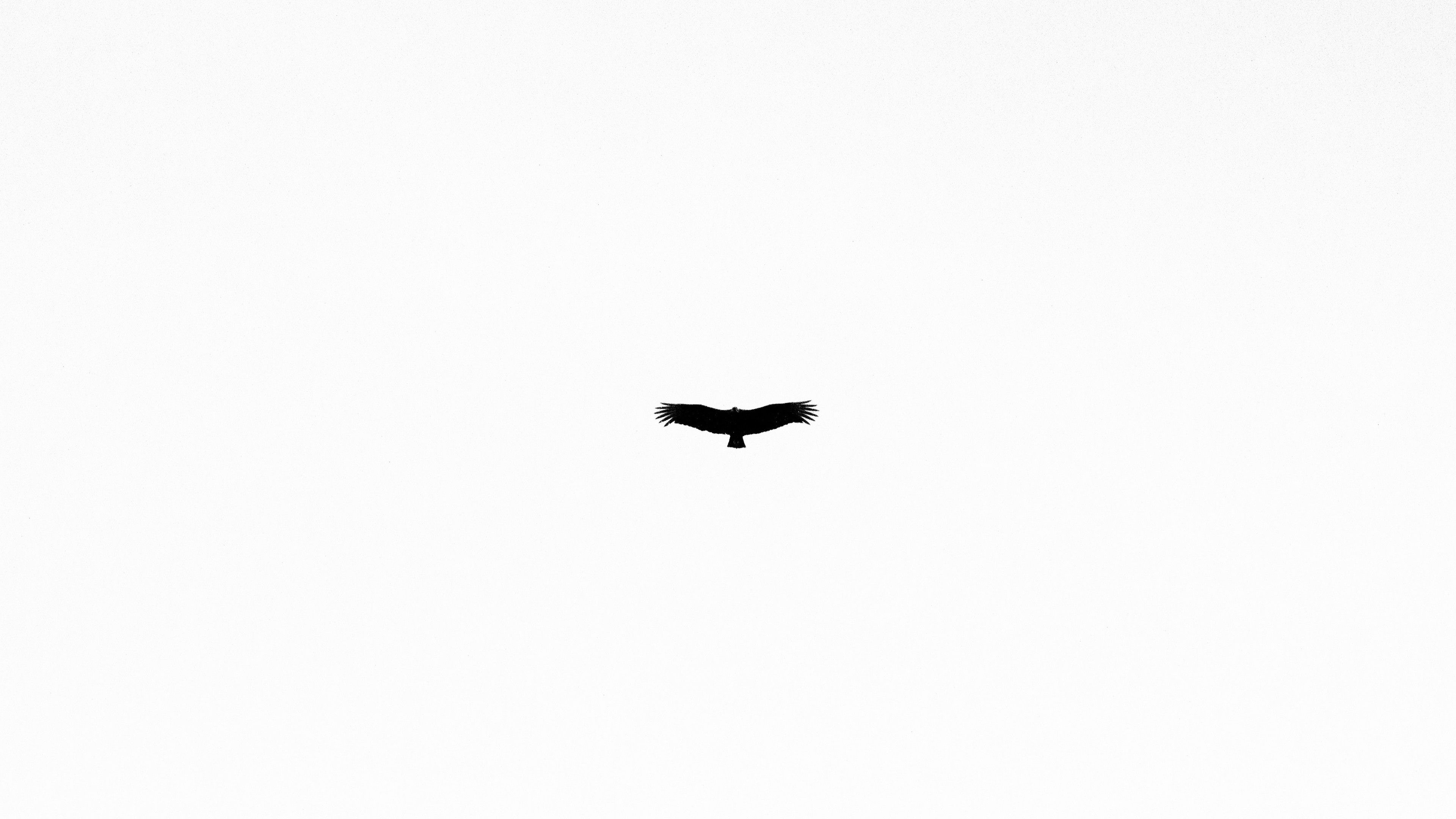 4k Ultra HD White Wallpapers - Wallpaper Cave