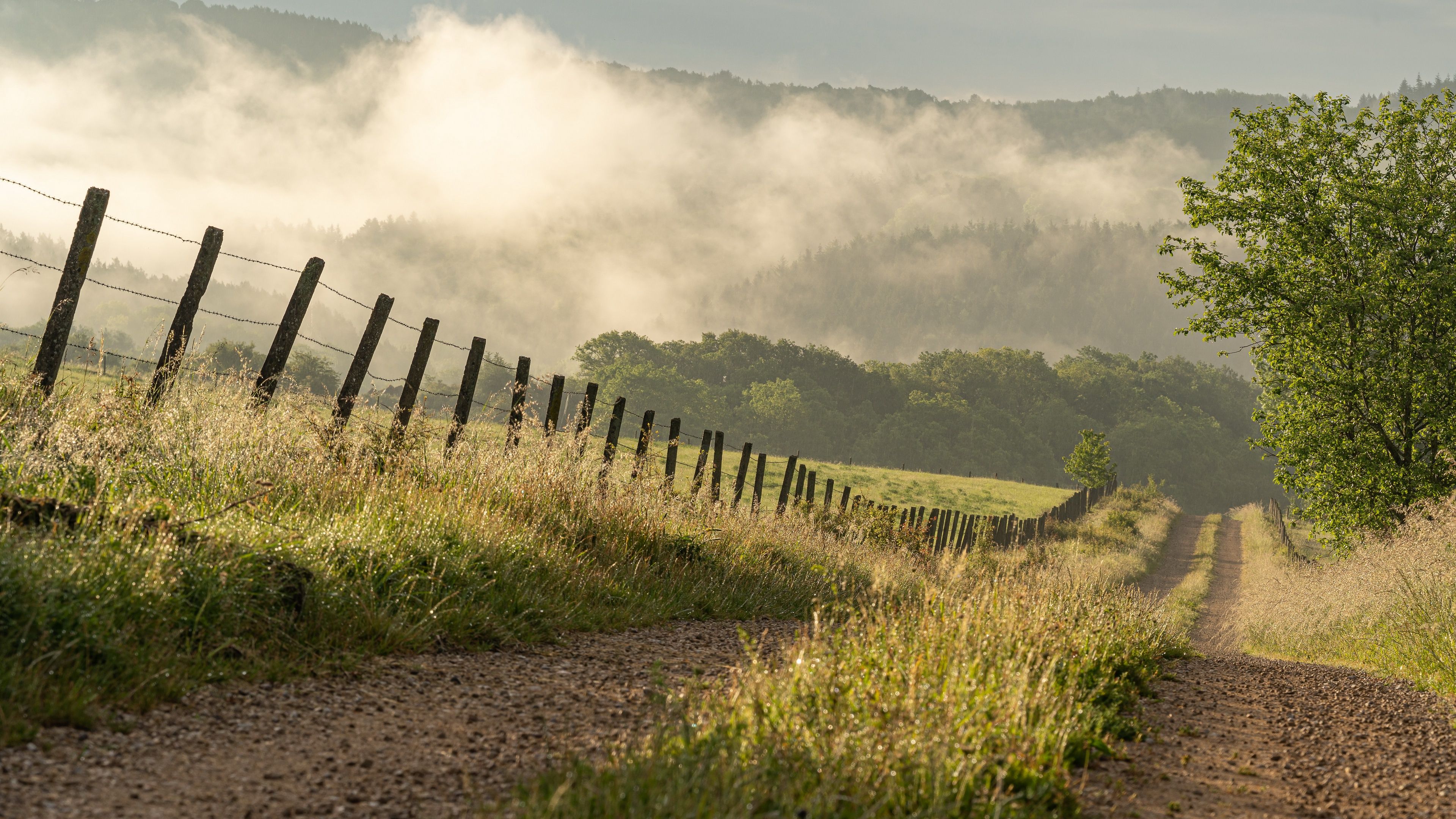 Summer Fence Wallpapers - Wallpaper Cave