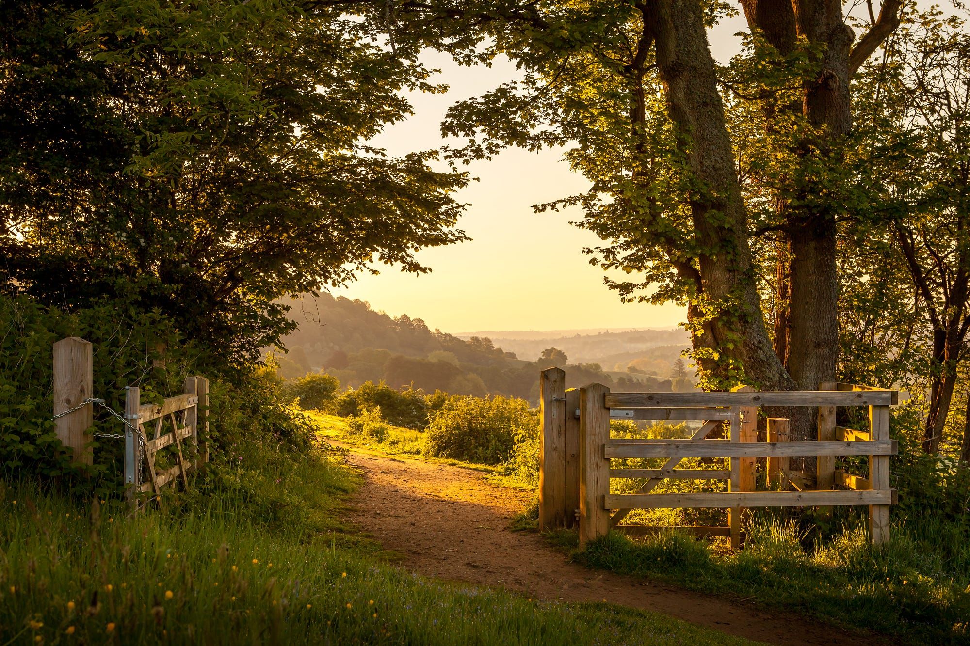 Wallpaper, nature, landscape, England, summer, lights, scenic drive, trees, plants, gates 2000x1333