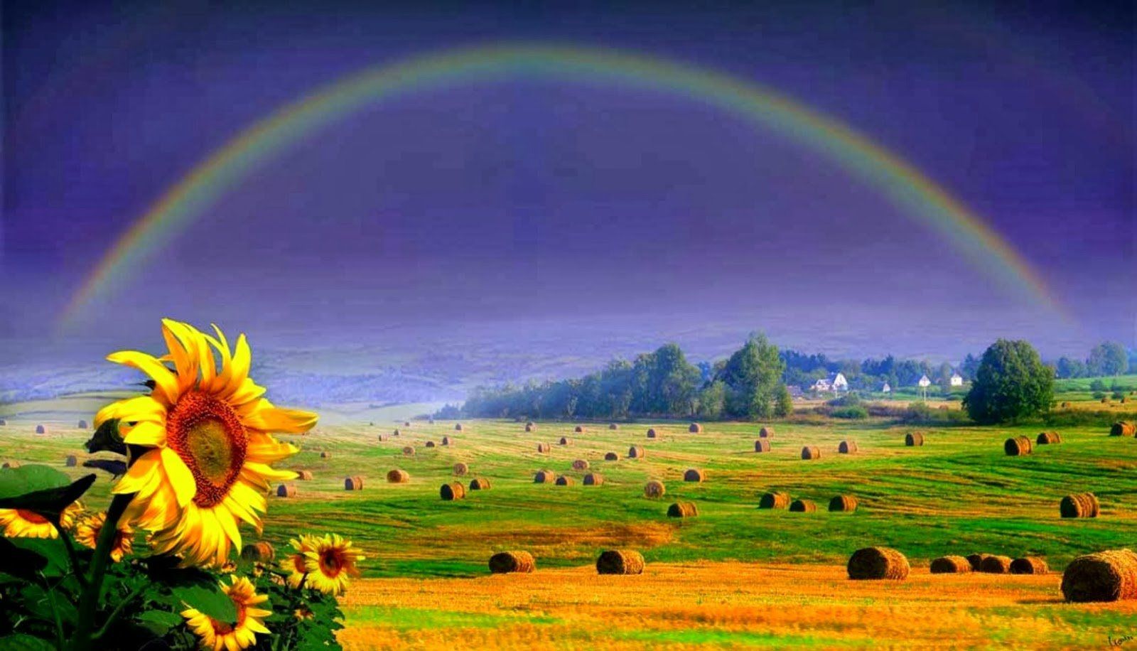 Real Life Beautiful Wallpaper Rainbow