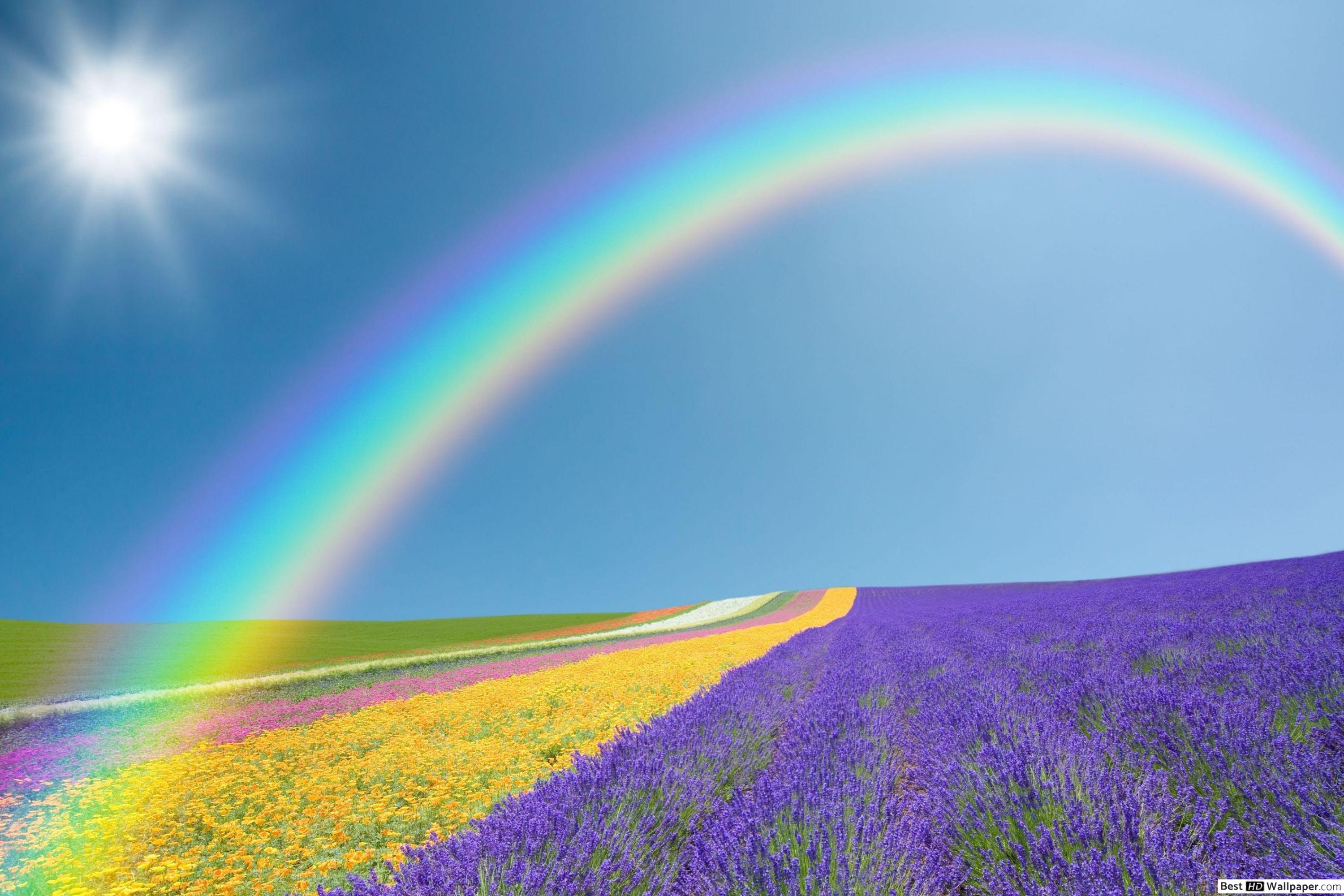Landscape Wallpaper Rainbow