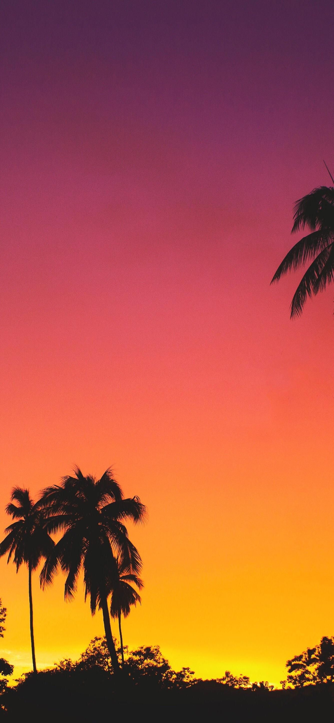 Tropical Paradise - Beaches & Nature Background Wallpapers on Desktop Nexus  (Image 2481739)