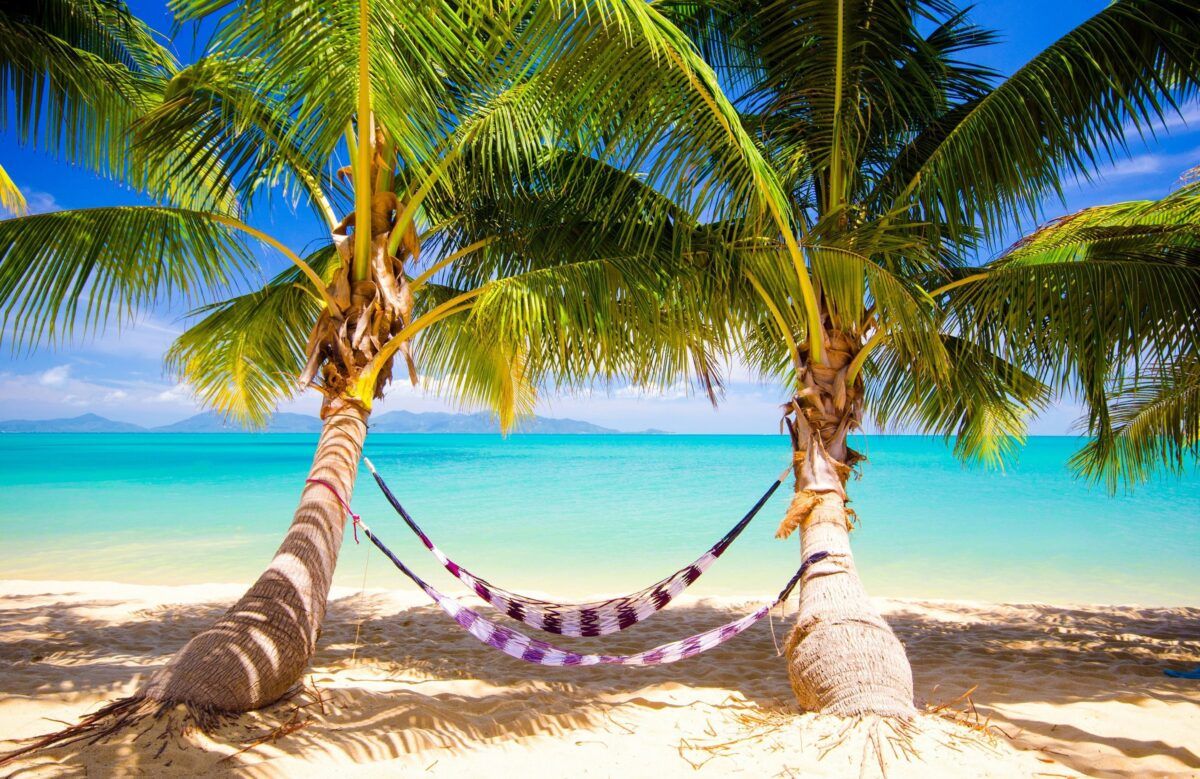 Tropical, Sea, Paradise, Summer, Sunshine, Palms, Beach, Ocean. Full HD Wallpaper