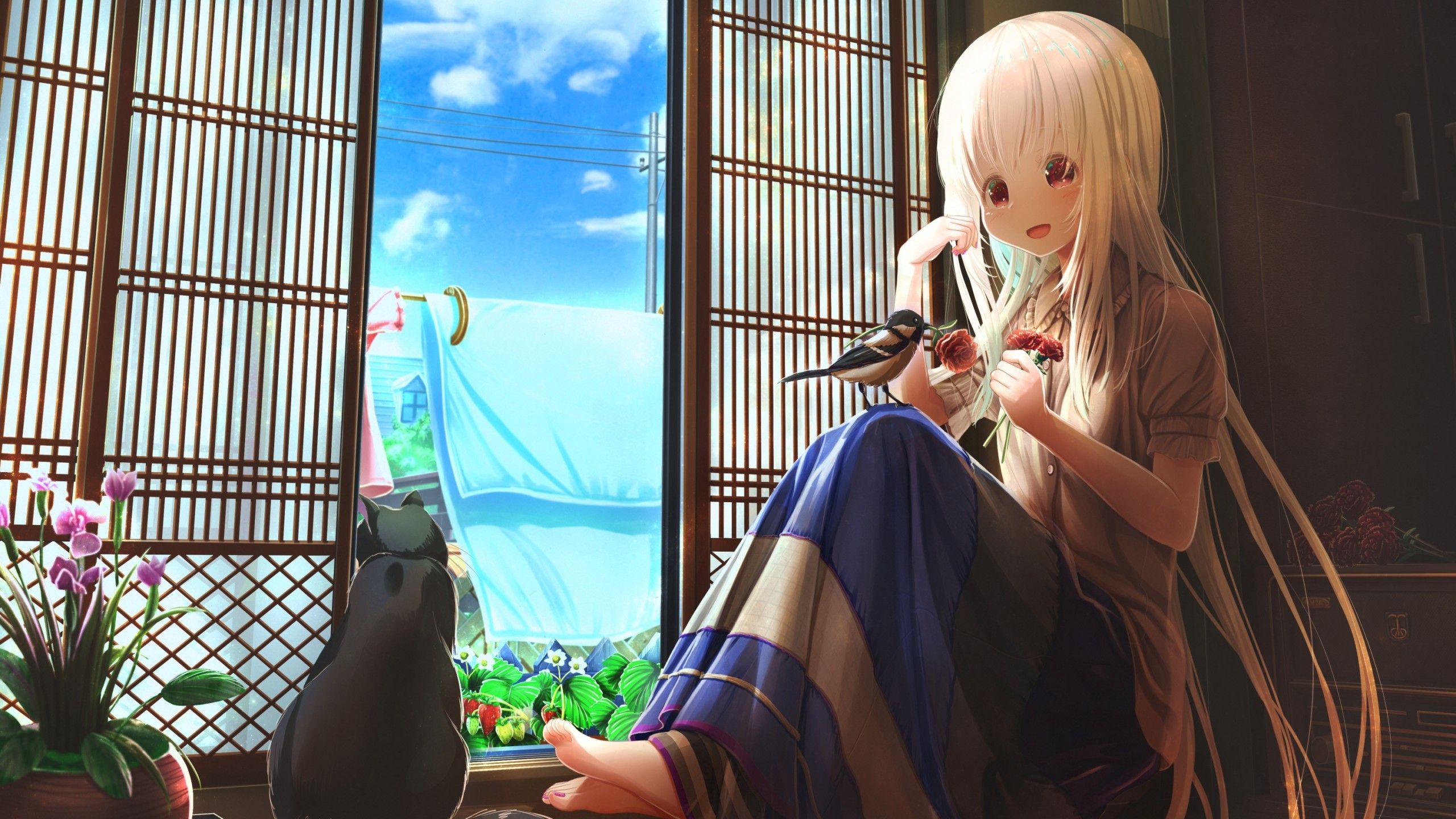 Download 2560x1440 Summer, Anime Girl, Neko, Window, Relaxing, Mood, Happy, Clouds, Long Hair Wallpaper for iMac 27 inch