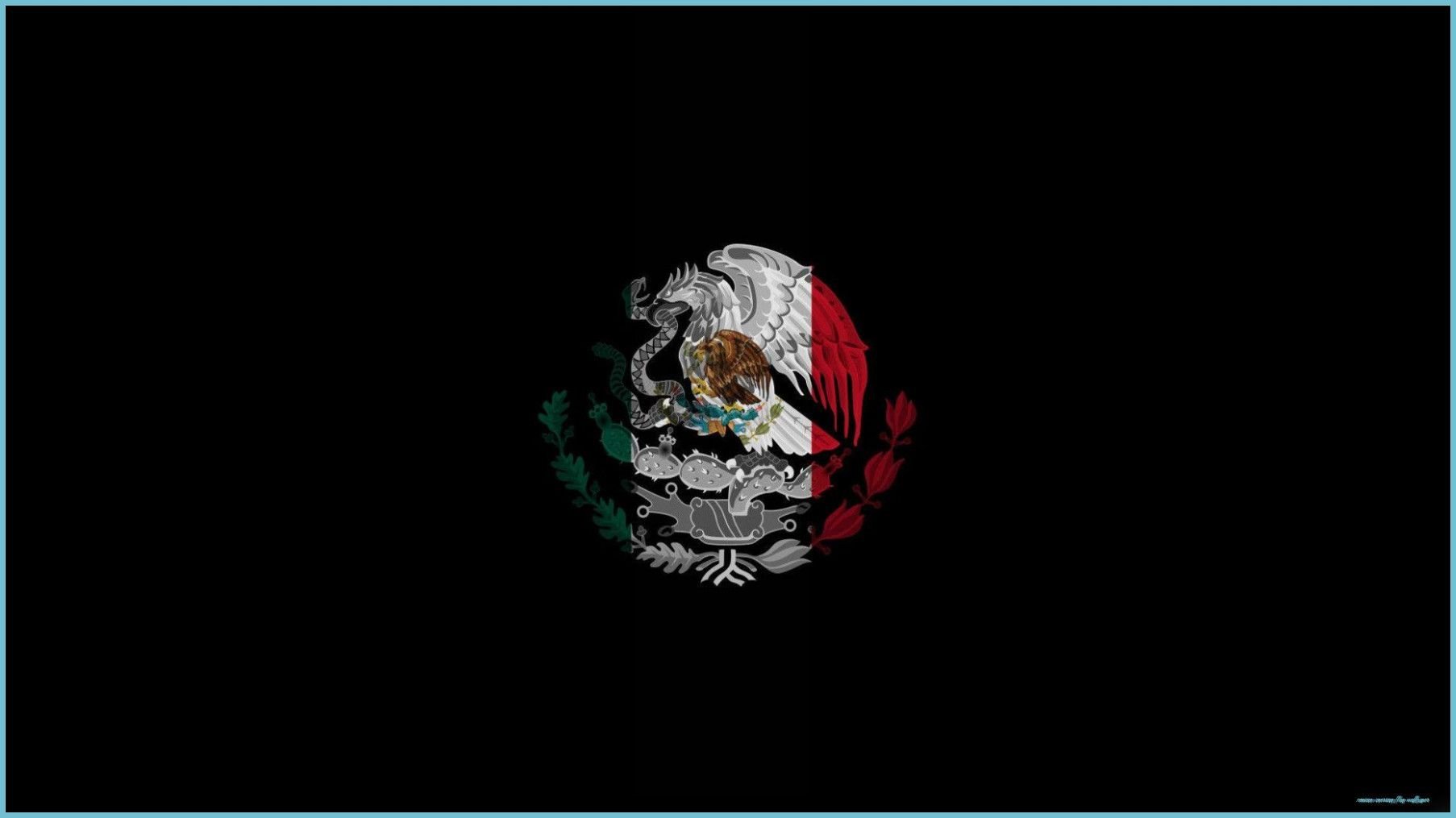 Five Things That Happen When You Are In Mexican American Flag