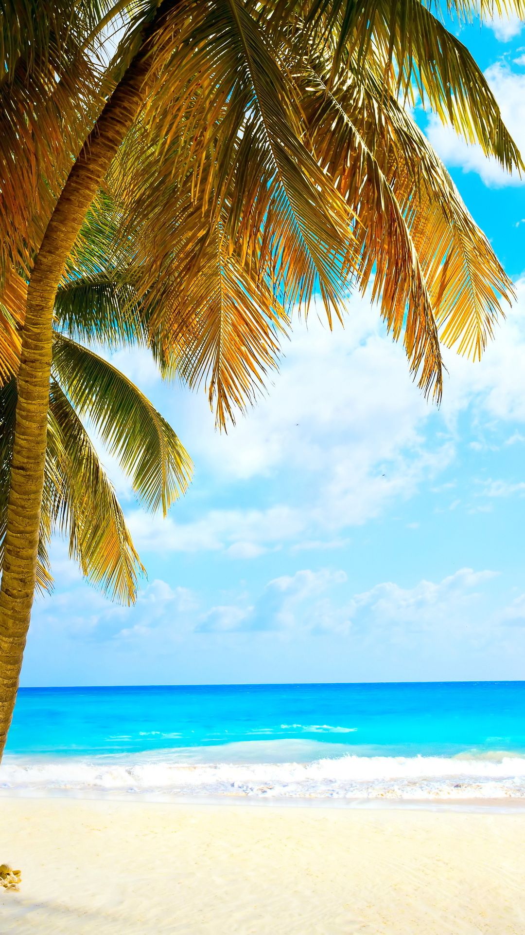 ocean, beach, sea, sea, palms, vacation, the beach, summer, paradise, tropical, palm desktop wallpaper 7015
