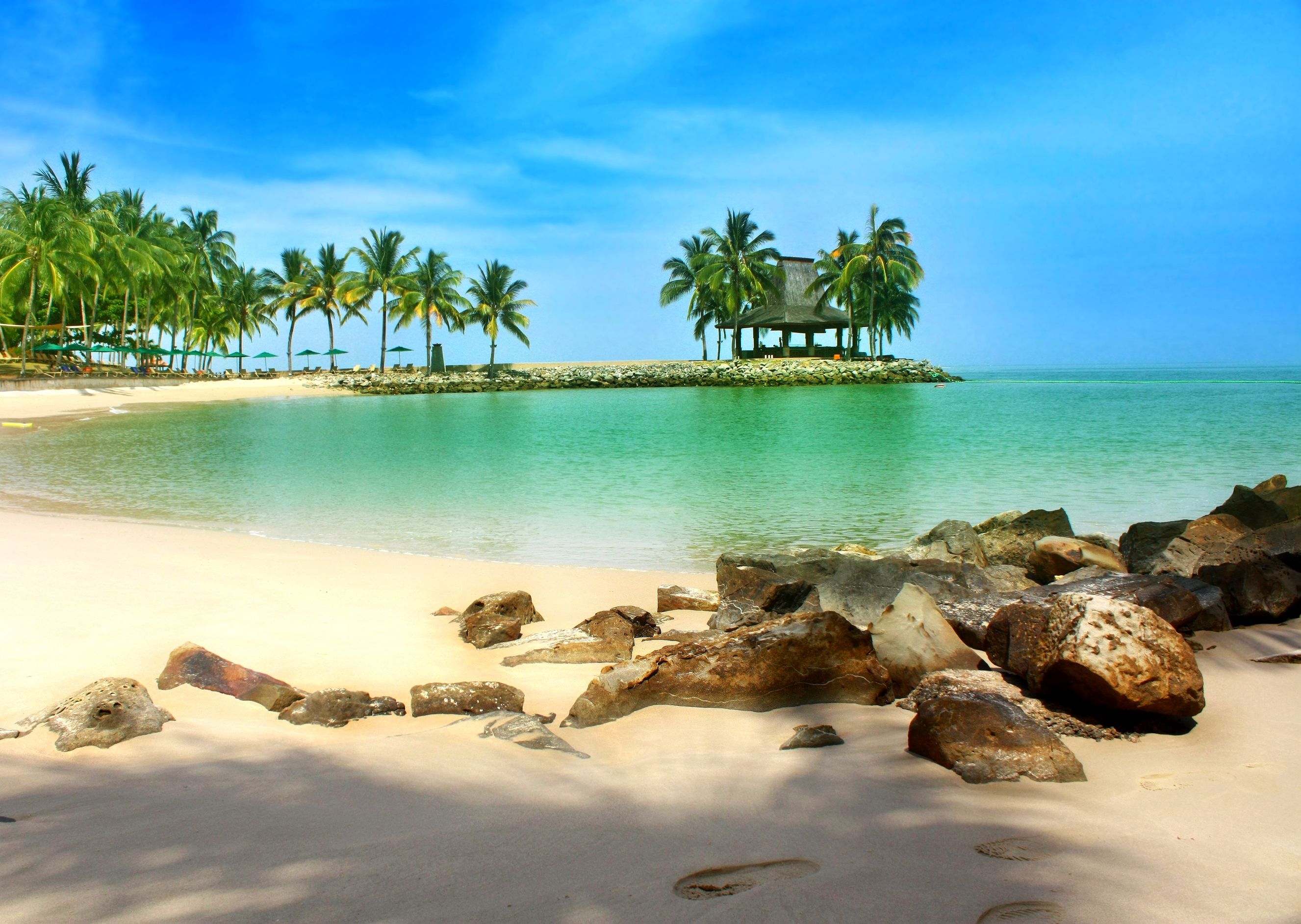 white sand, sea, Indonesia, rocks, palm trees, tropical, travel, beautiful, beach, Borneo, summer, paradise wallpaper