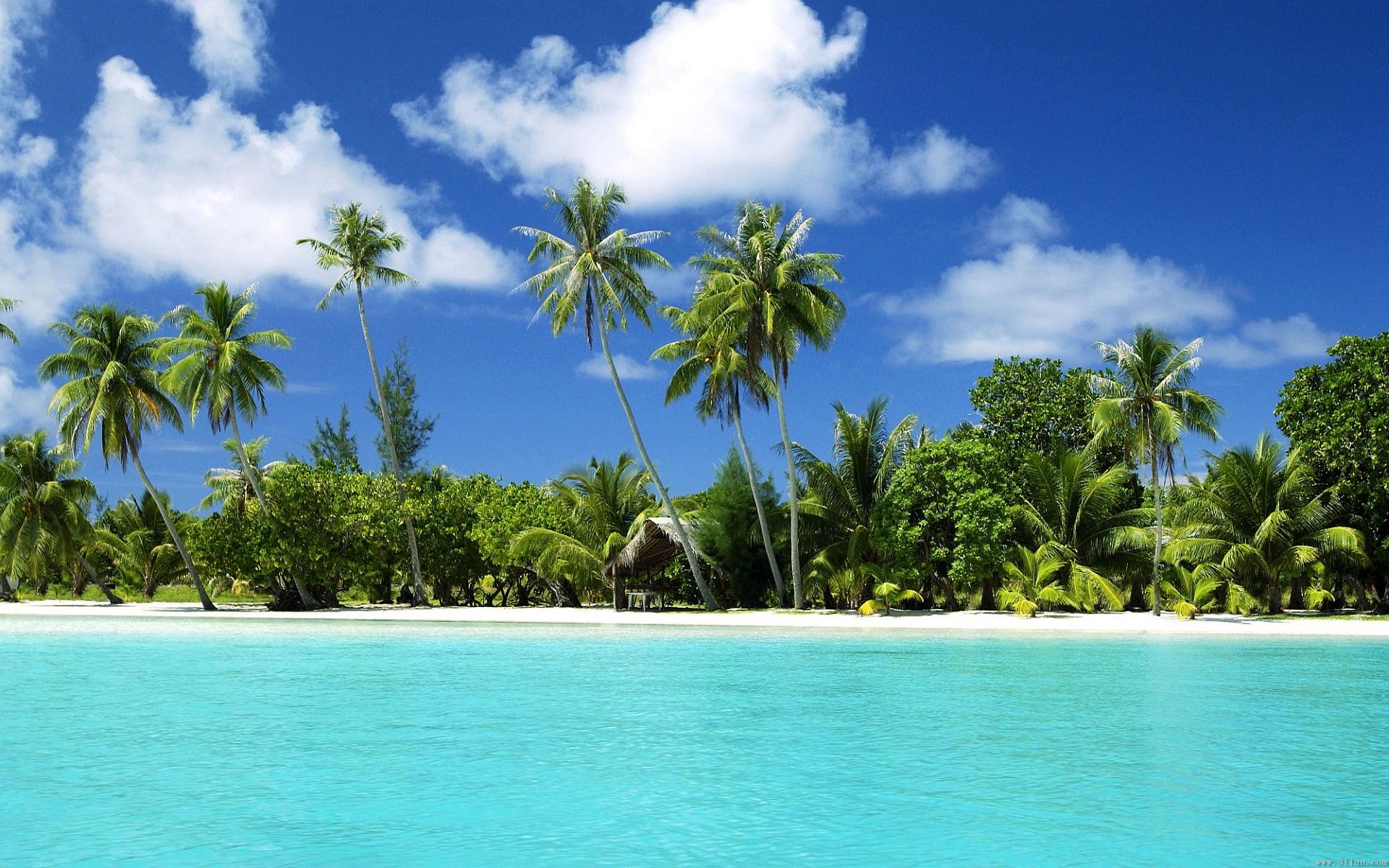 tropical beach paradise Desktop Wallpaperk HD