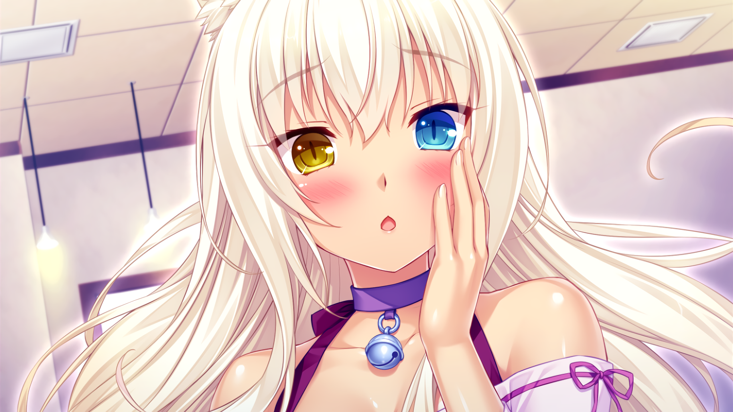 1920x1080 Anime, Nekopara, Uniform, Coconut (Nekopara), Yellow Eyes, Heterochromia, Blue Eyes wallpaper PNG. Mocah HD Wallpaper