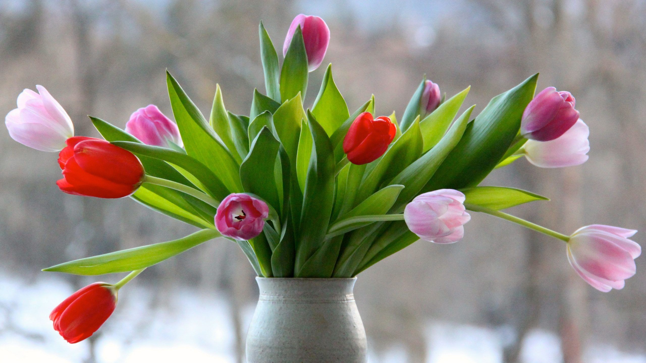 Flowers Wallpaper 4K