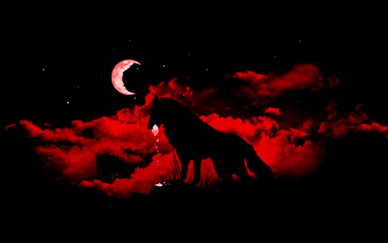 Blood Red Moon Wallpaper HD Wallpaper Wallpaper Wolf Wallpaper For Pc