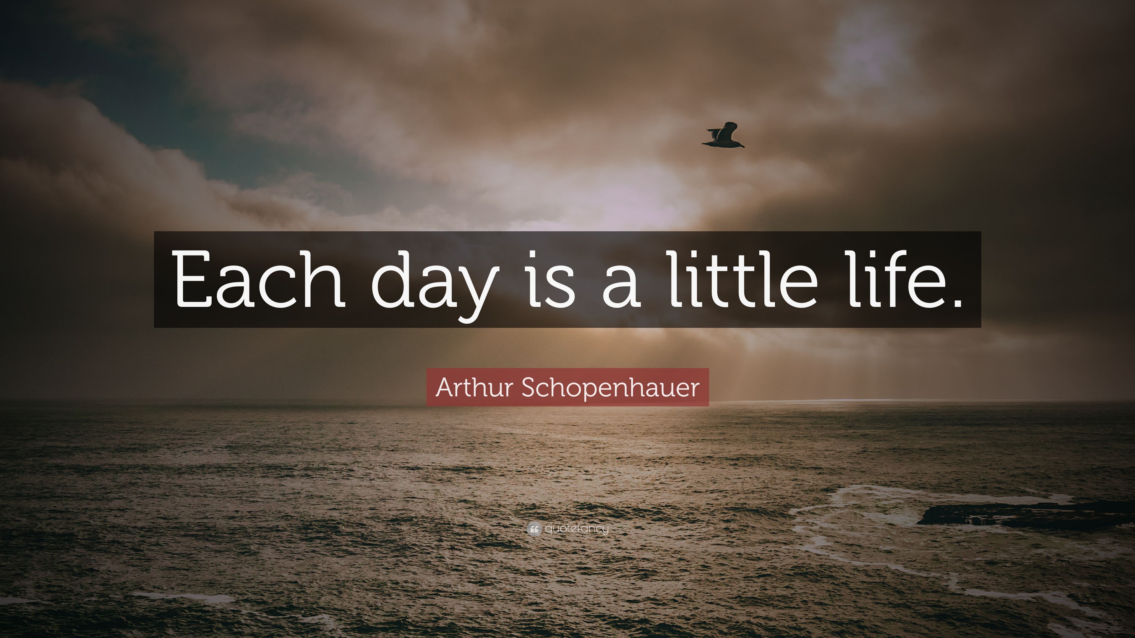 Arthur Schopenhauer Quotes (2021 Update)