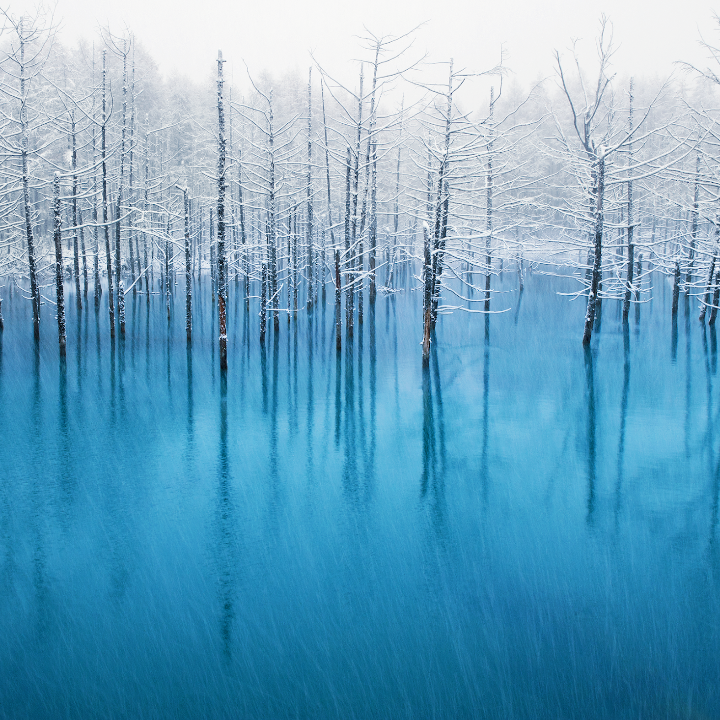 official iPhone wallpaper