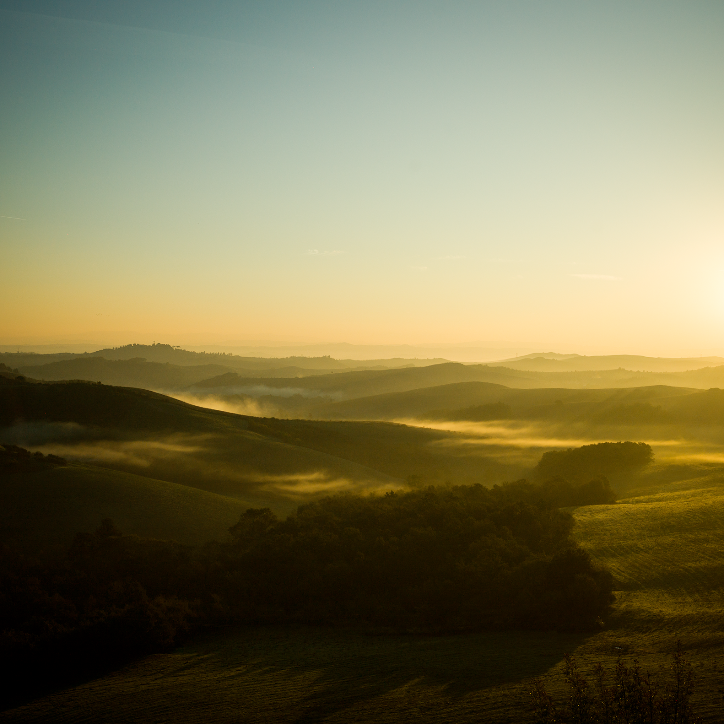 official iPhone wallpaper