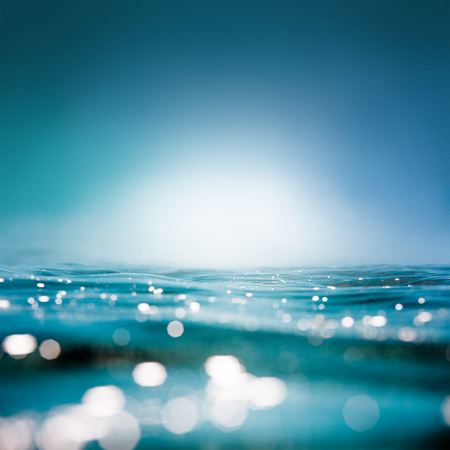 official iPhone wallpaper