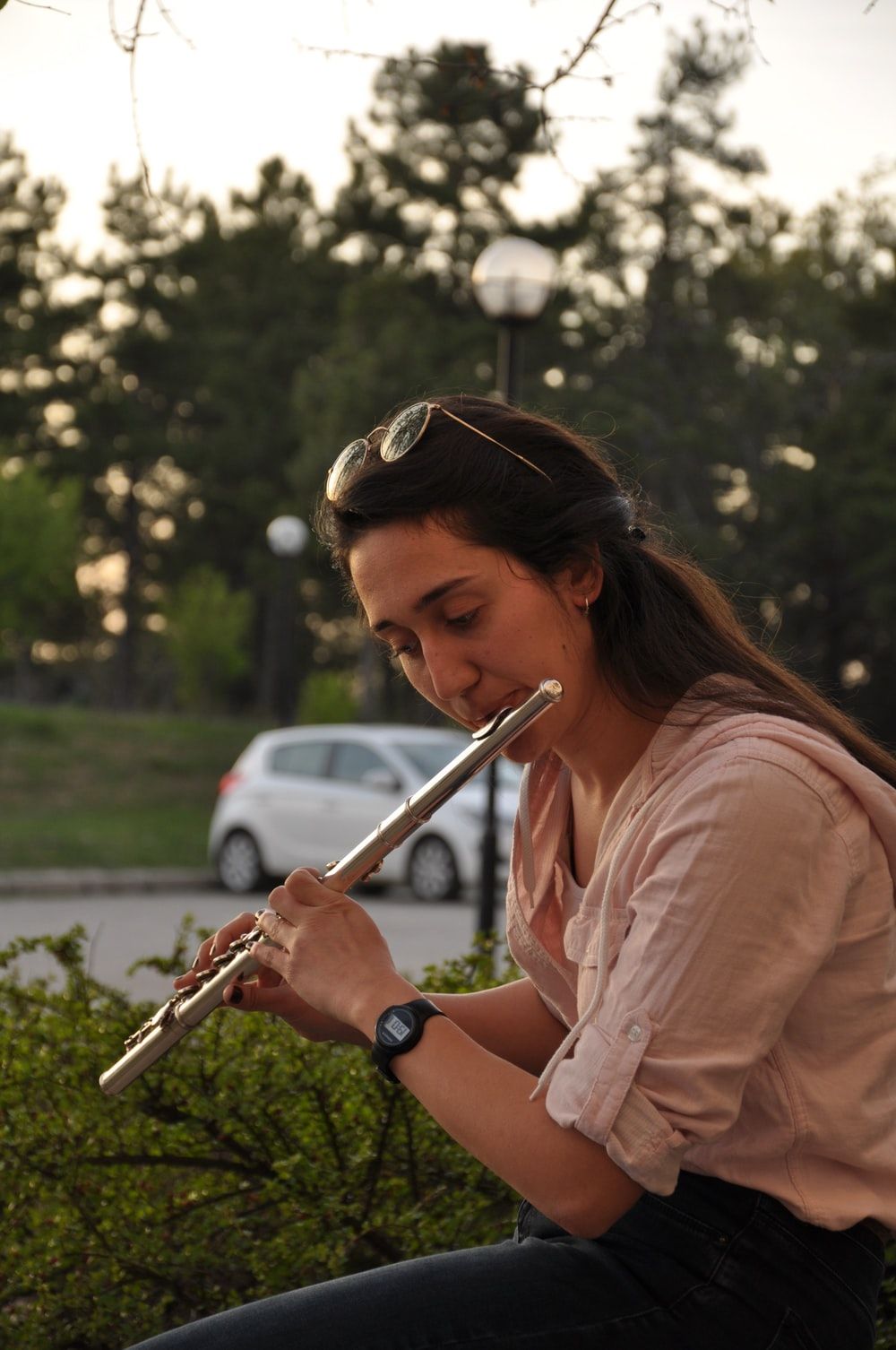 Flute Picture. Download Free Image