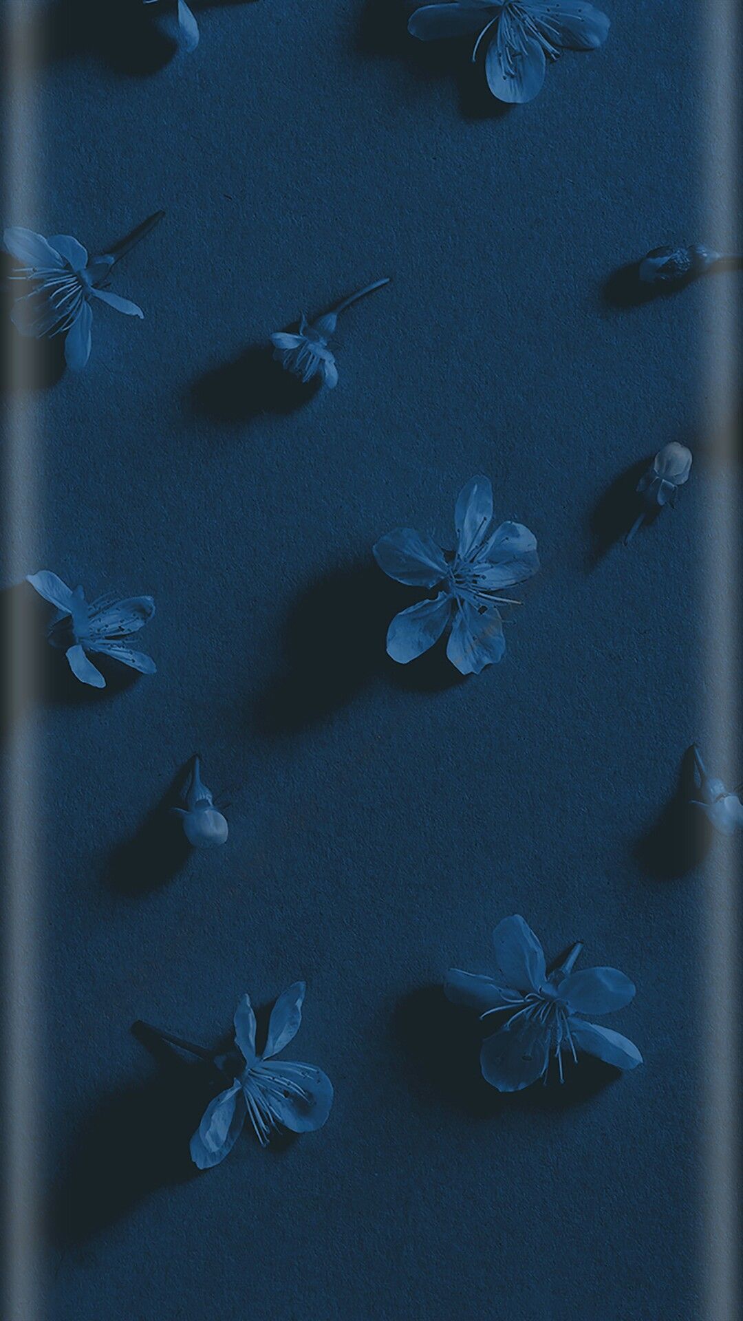 Cute Dark Blue Wallpaper iPhone
